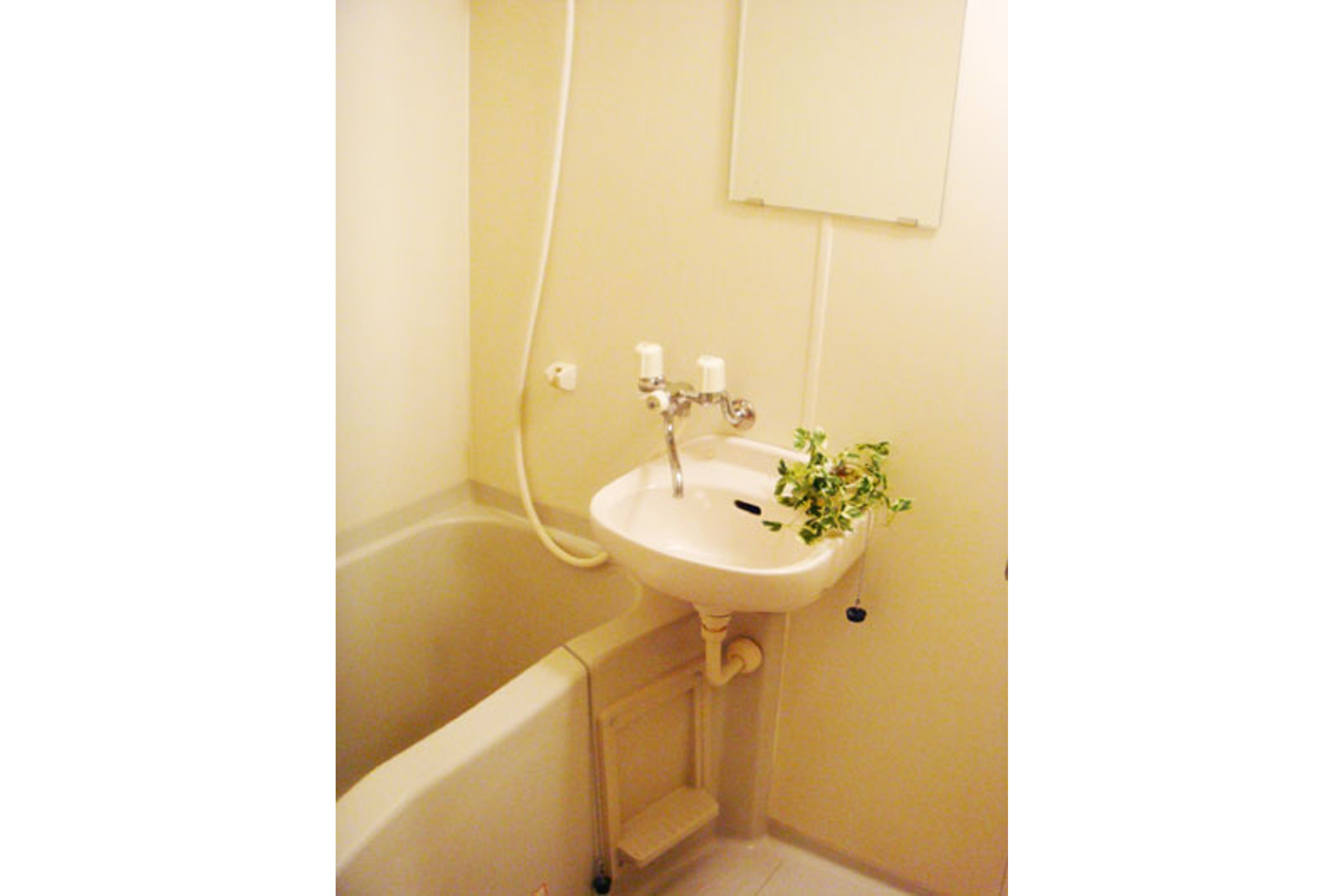 ハイグレードタイプのイメージ