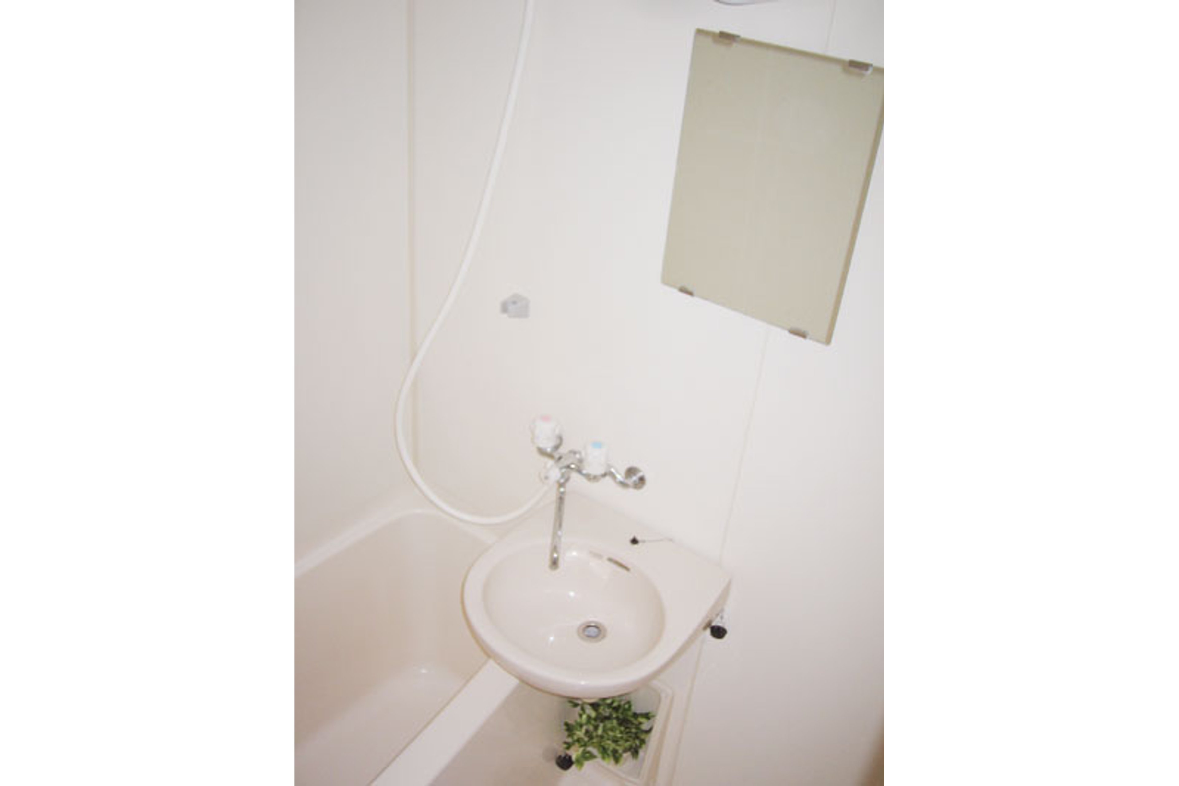 バリュータイプのイメージ