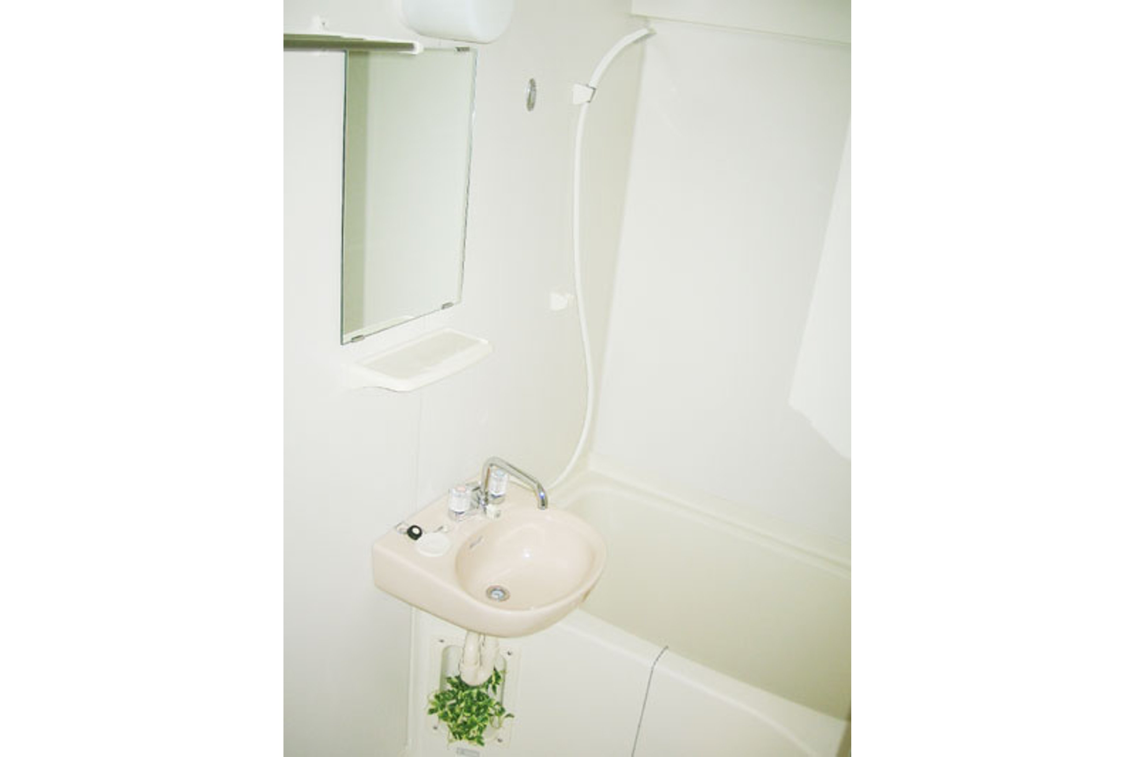 スタンダードタイプのイメージ