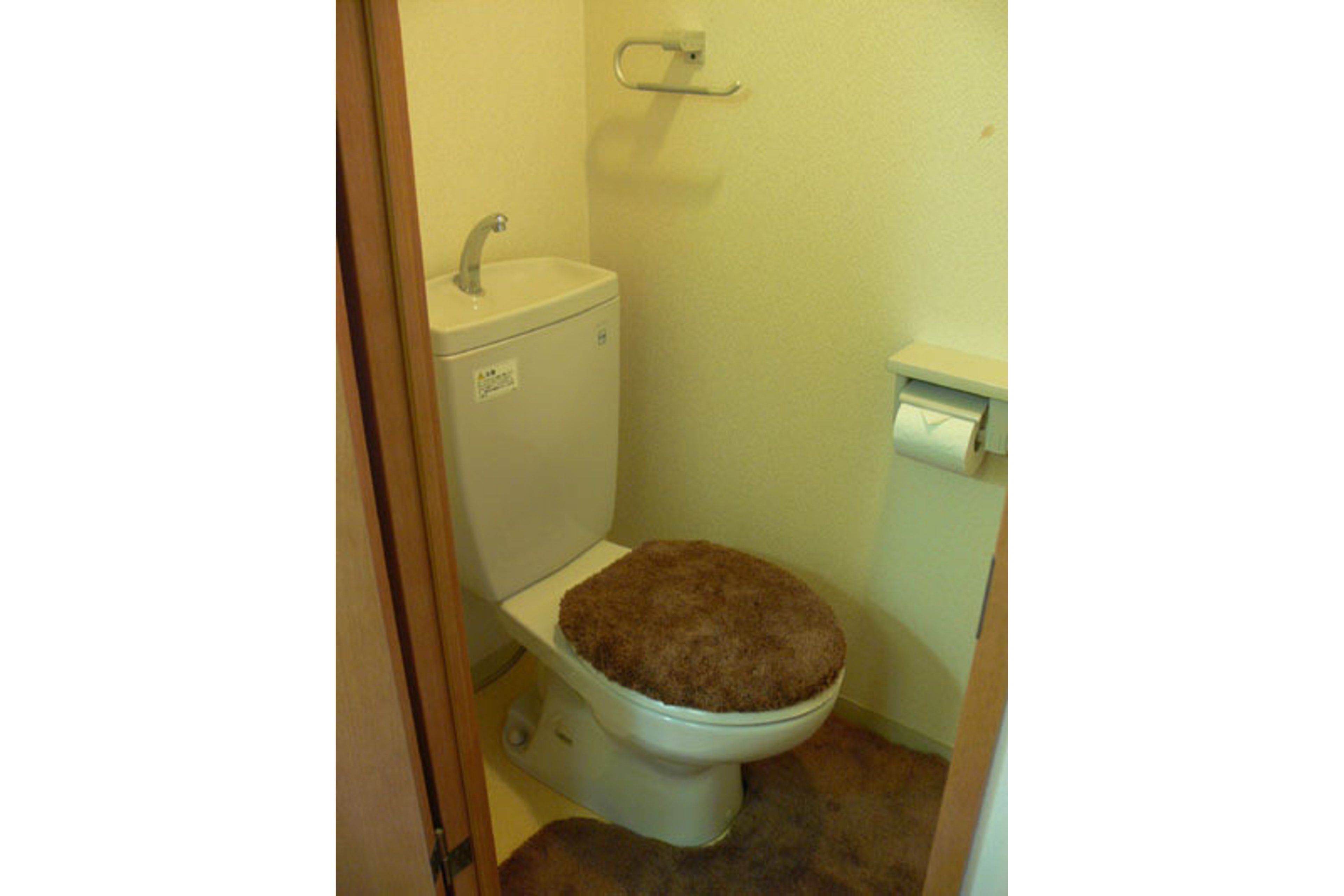 プラチナタイプのイメージ