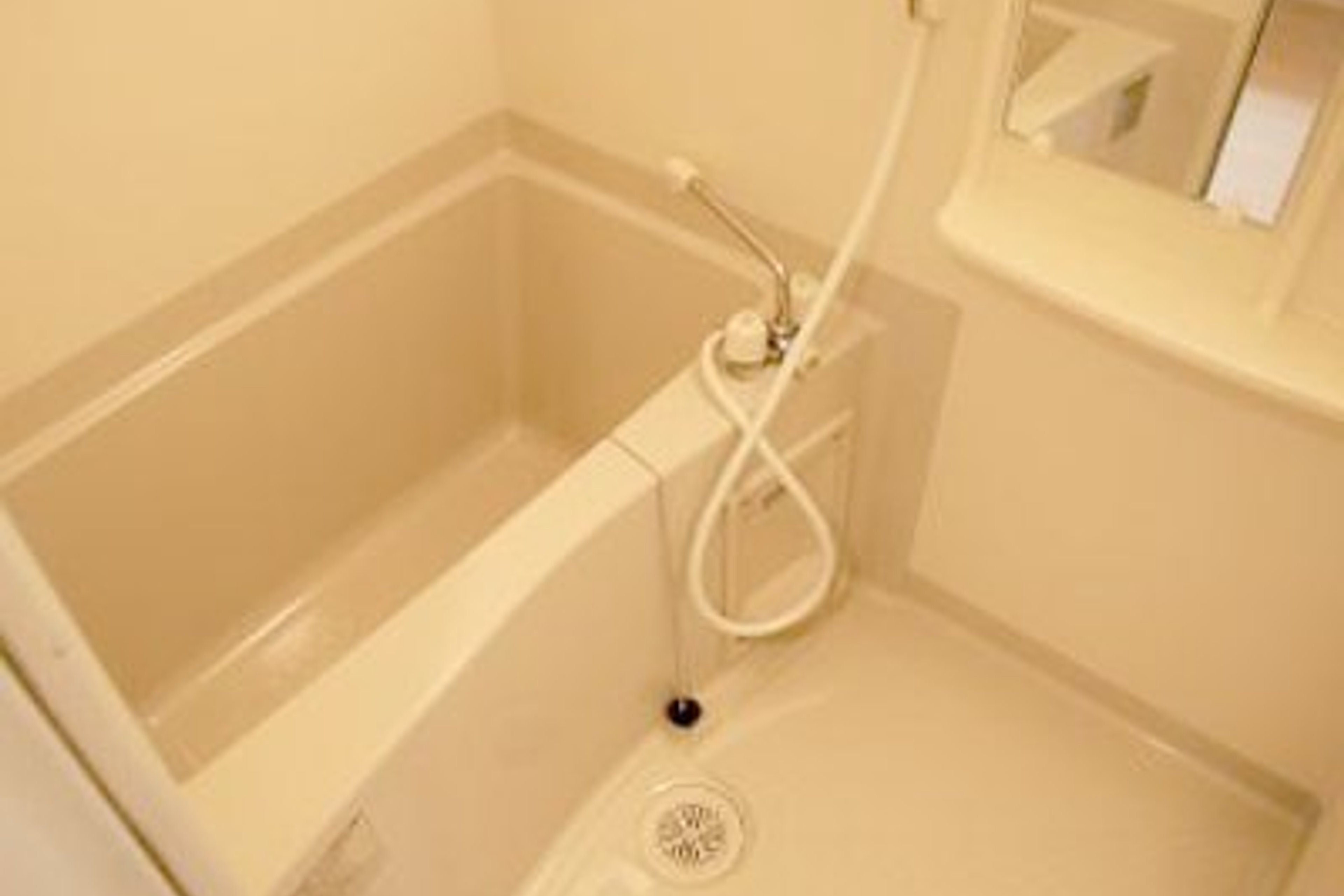 スタンダードタイプのイメージ