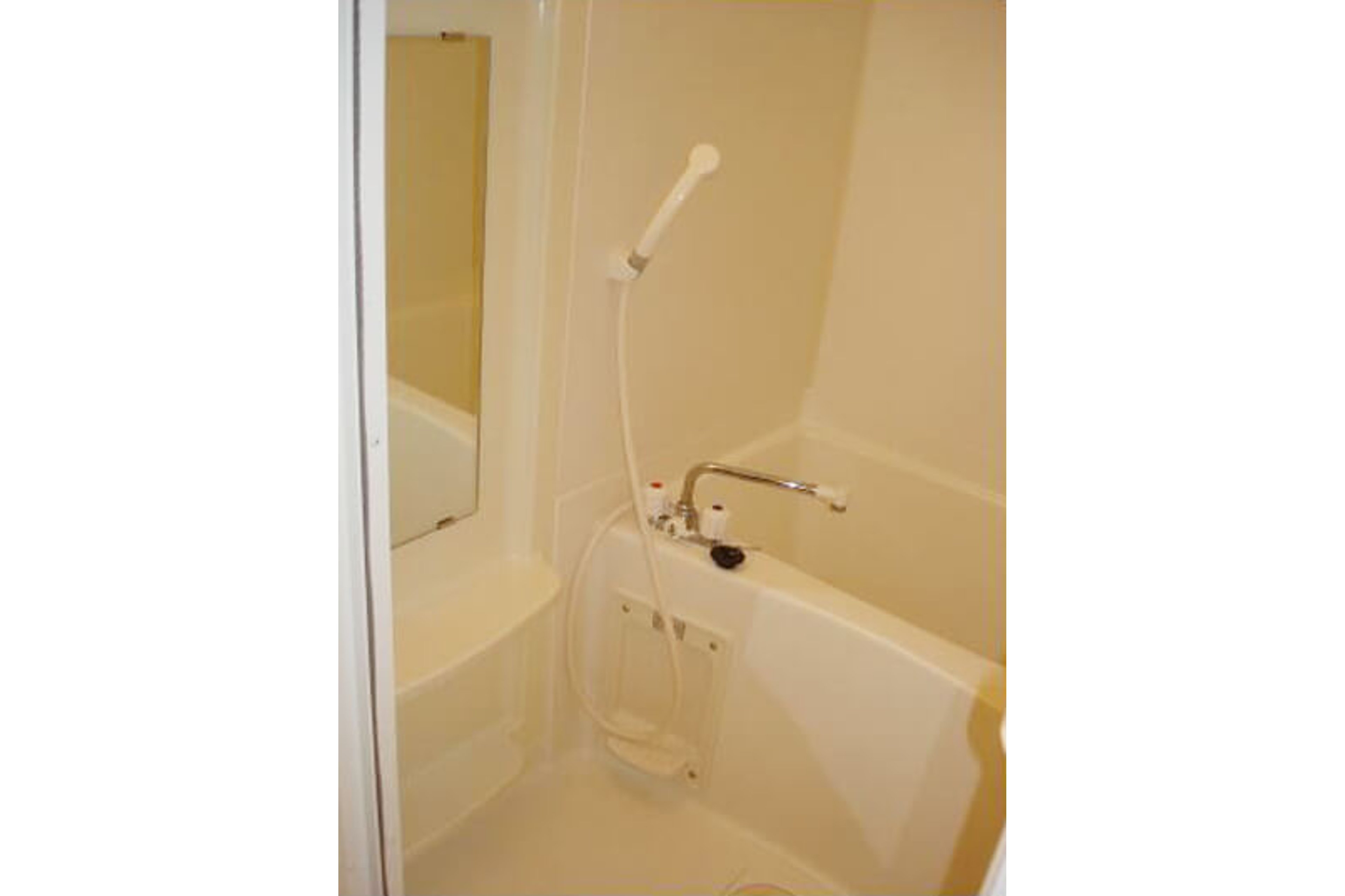 スタンダードタイプのイメージ