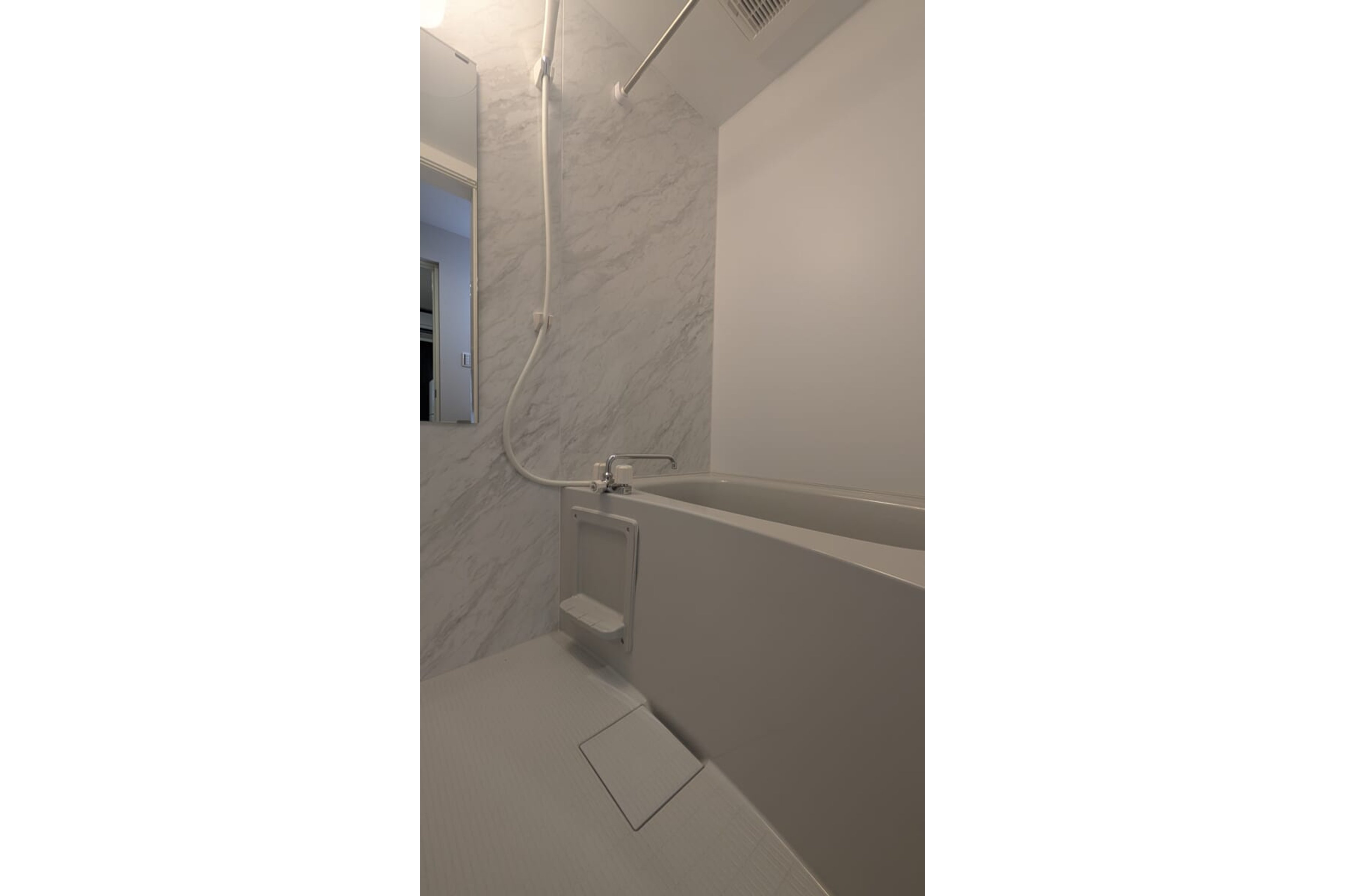 プラチナタイプのイメージ