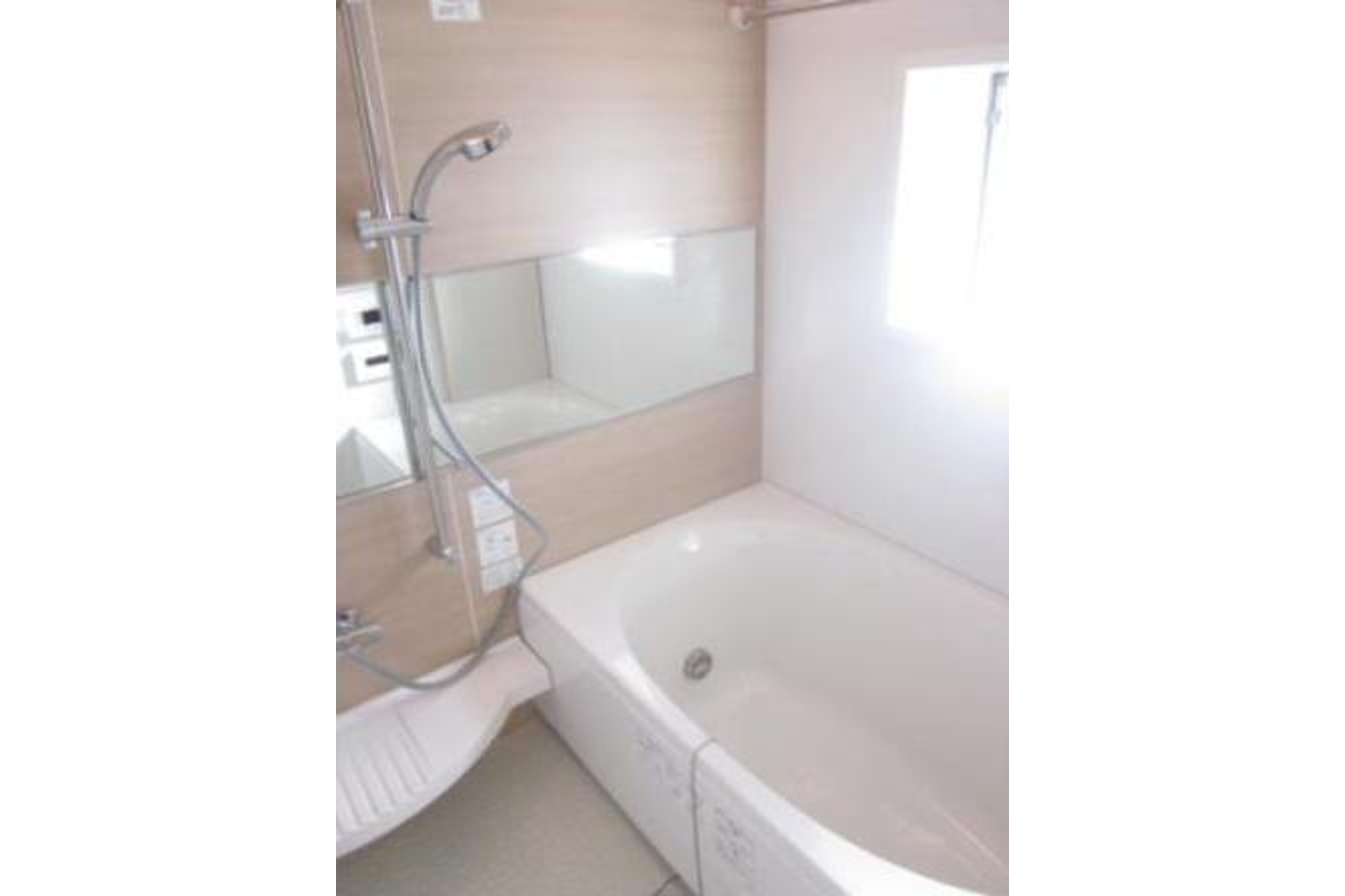 プラチナタイプのイメージ