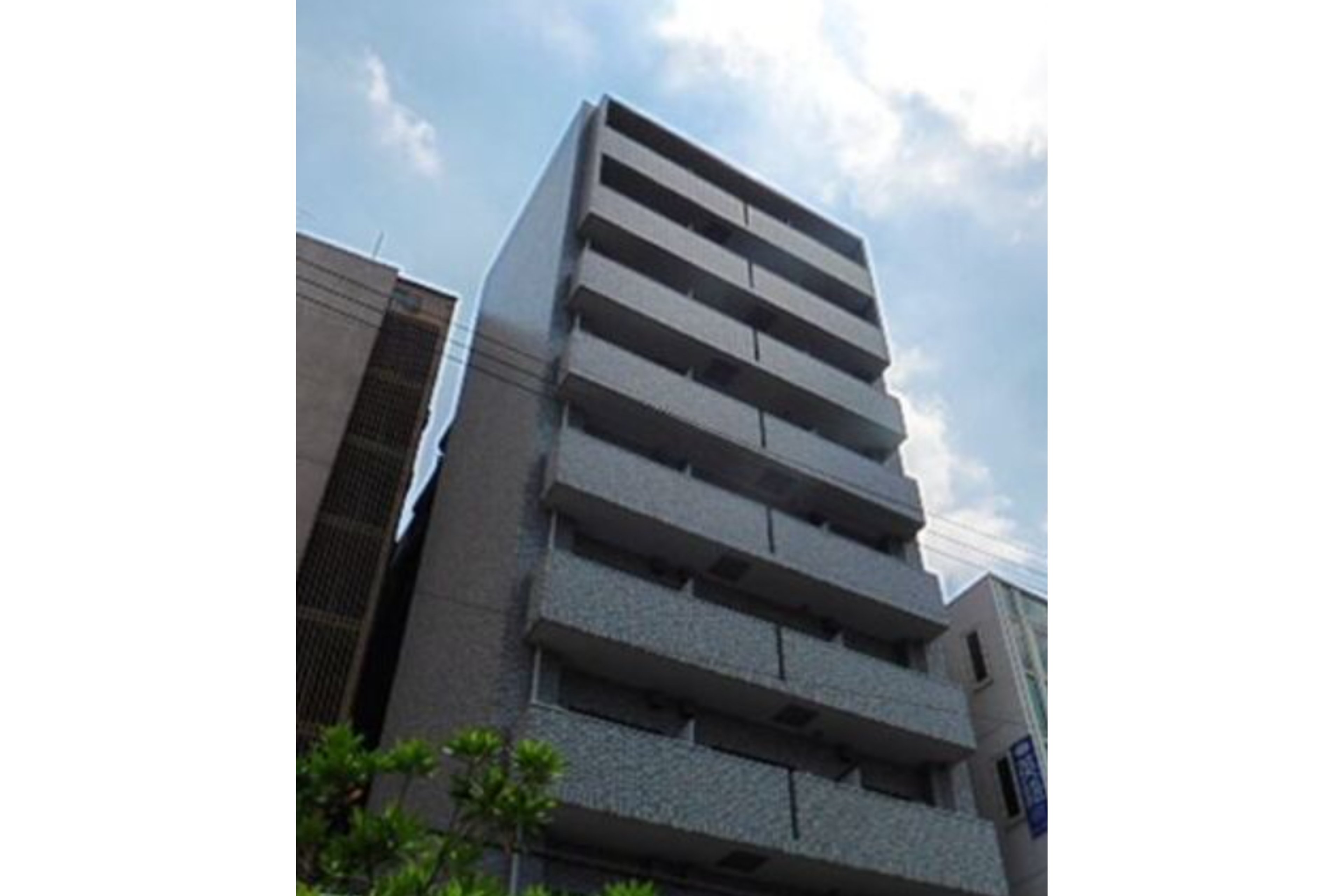 スタンダードタイプのイメージ