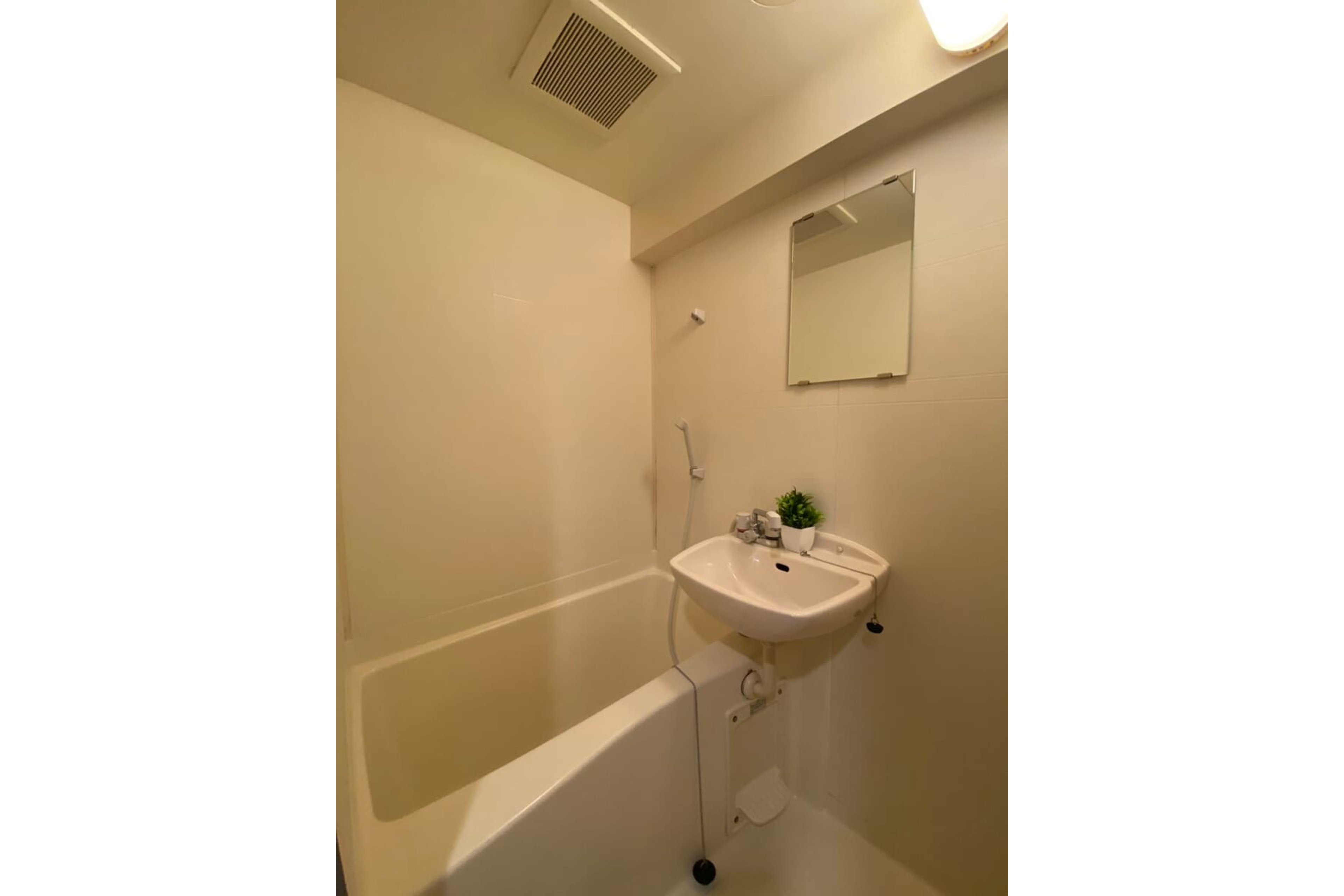 スタンダードタイプのイメージ