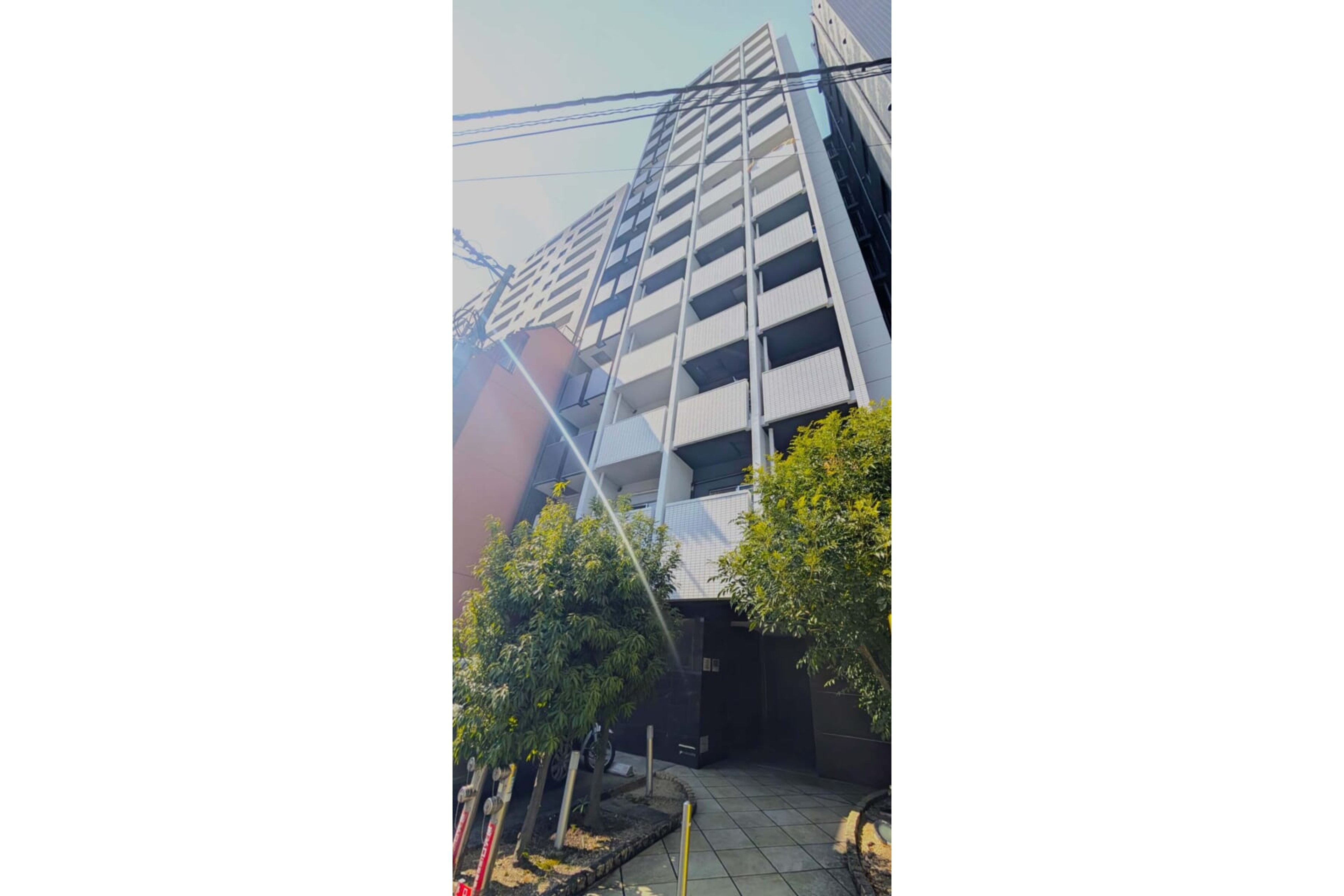 スタンダードタイプのイメージ