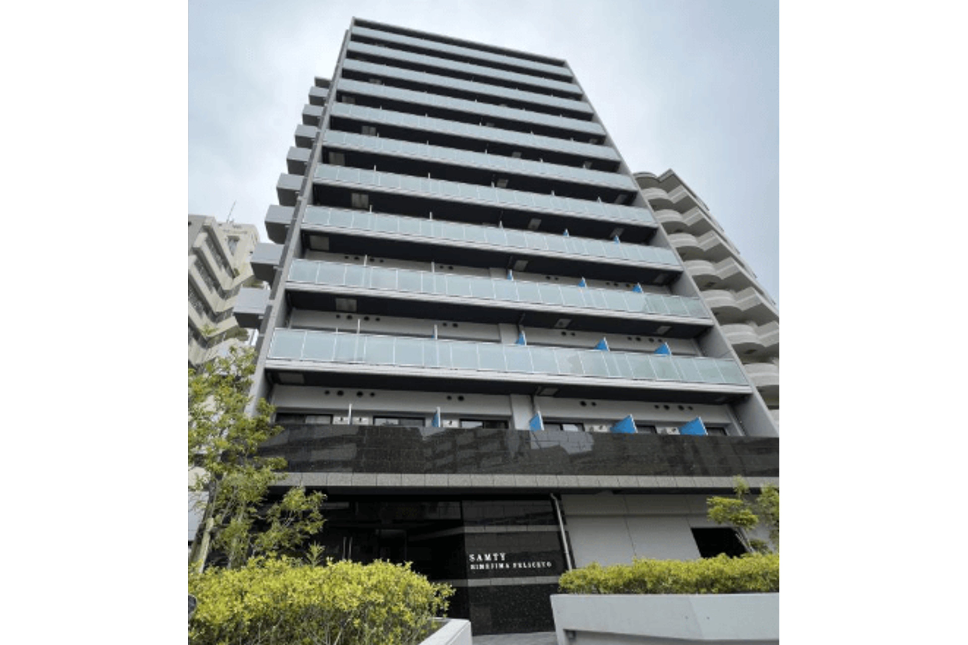 プラチナタイプのイメージ