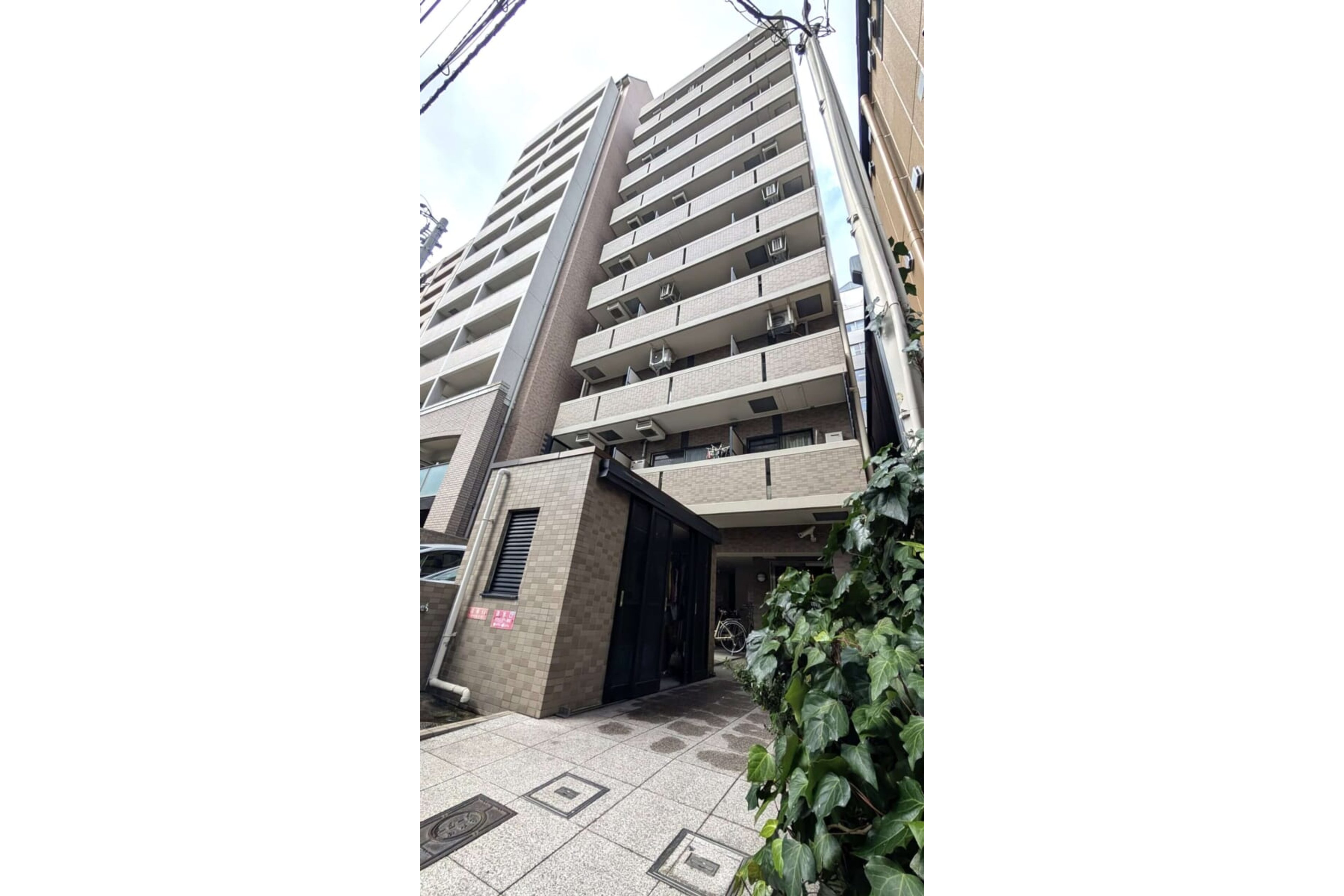 スタンダードタイプのイメージ