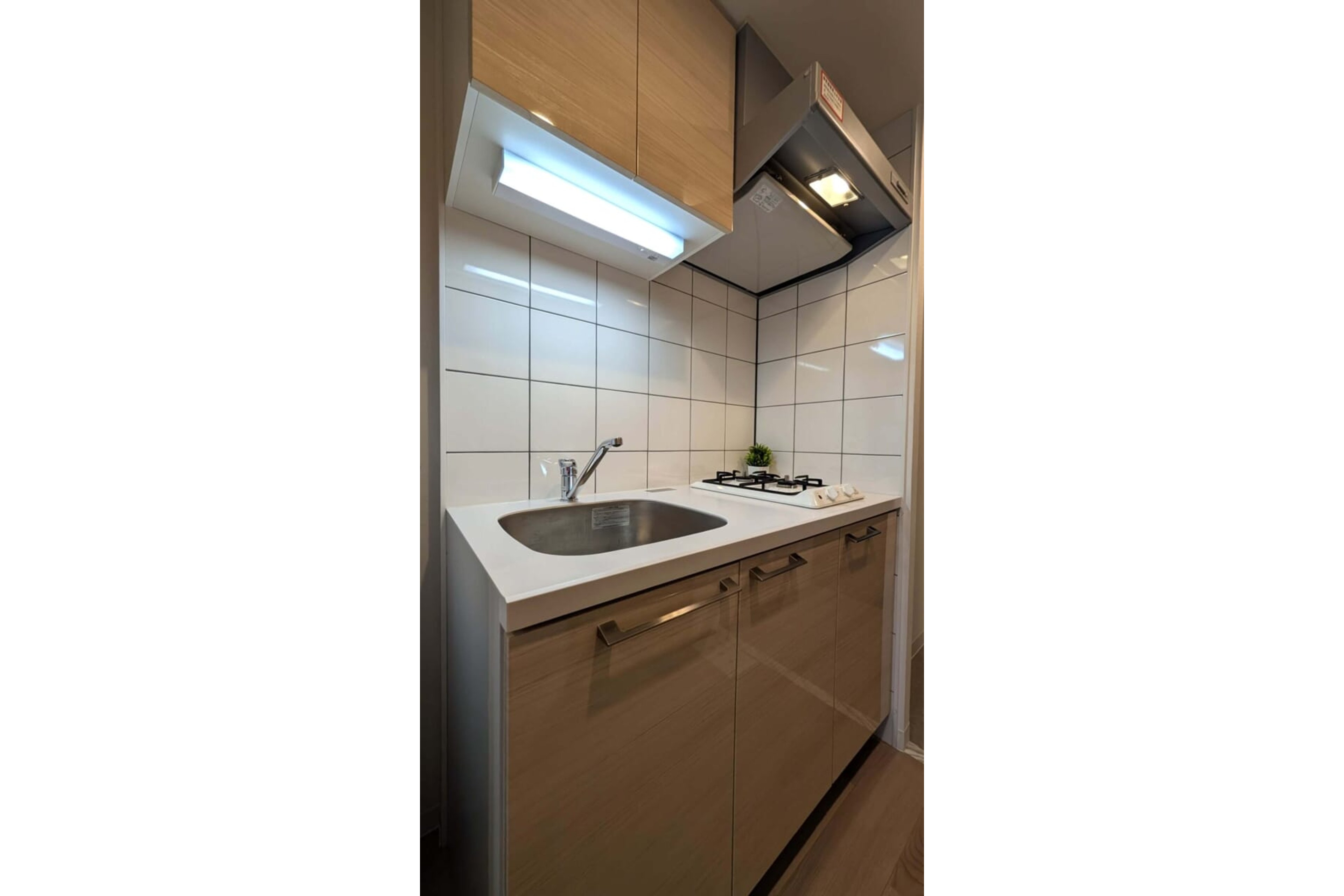 プラチナタイプのイメージ