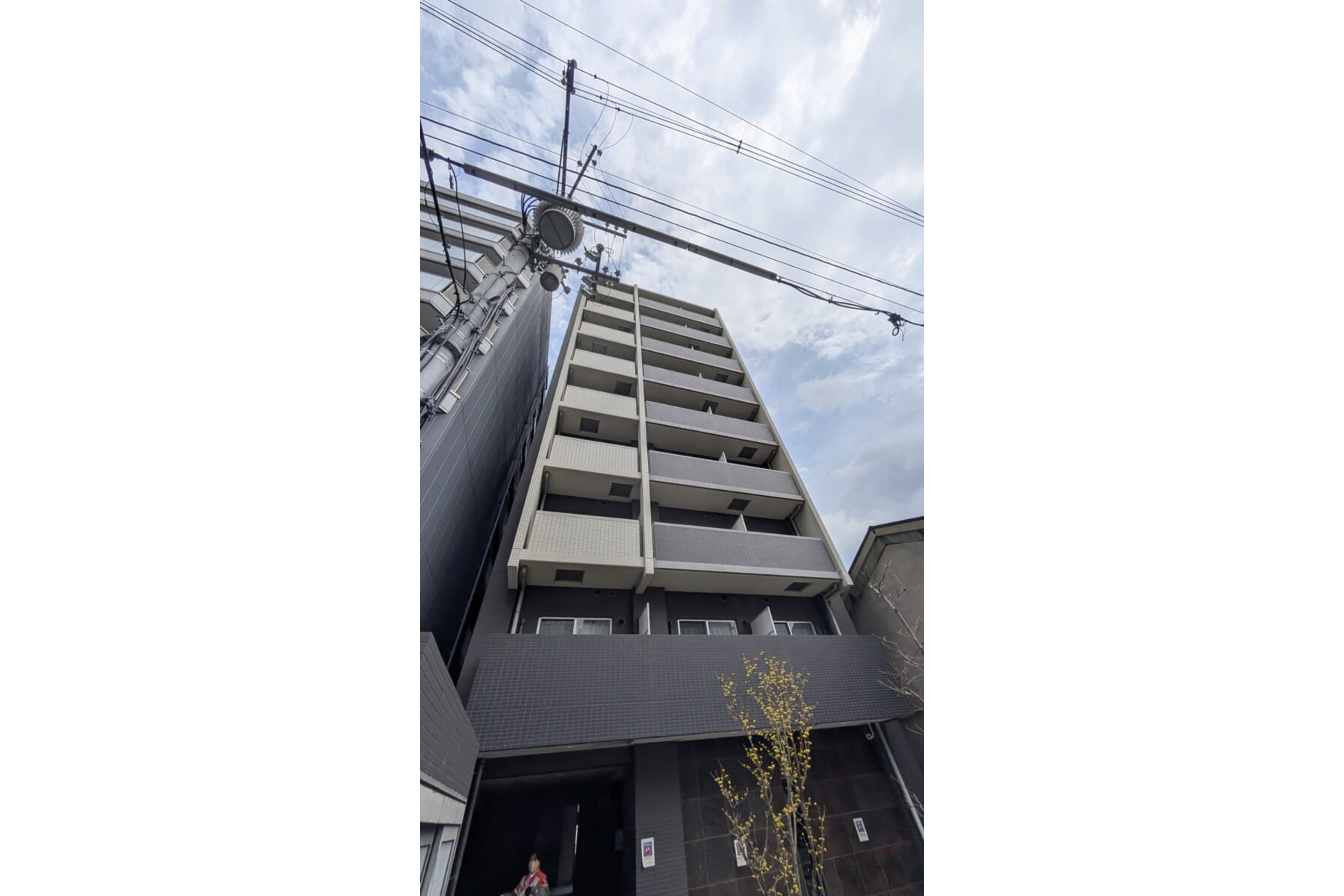 ハイグレードタイプのイメージ