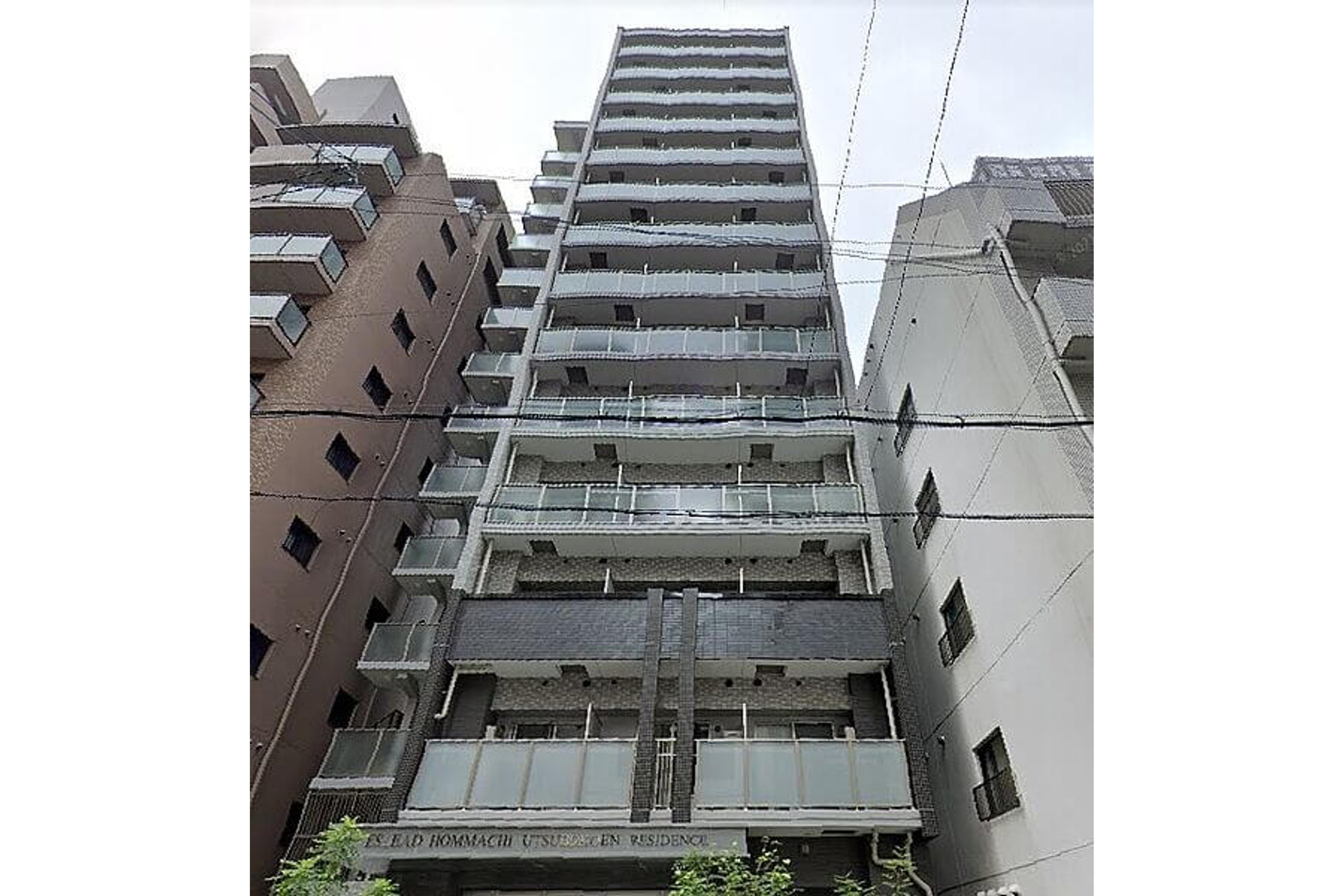 プラチナタイプのイメージ