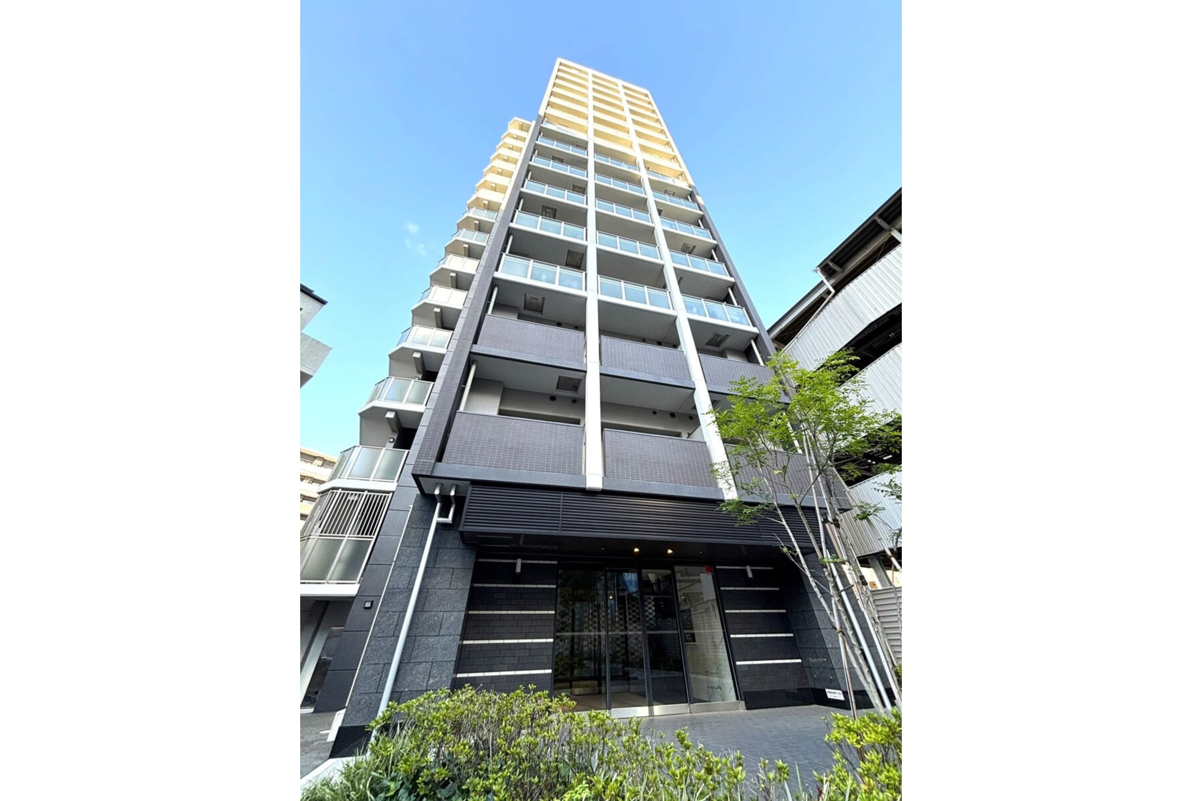 プラチナタイプのイメージ