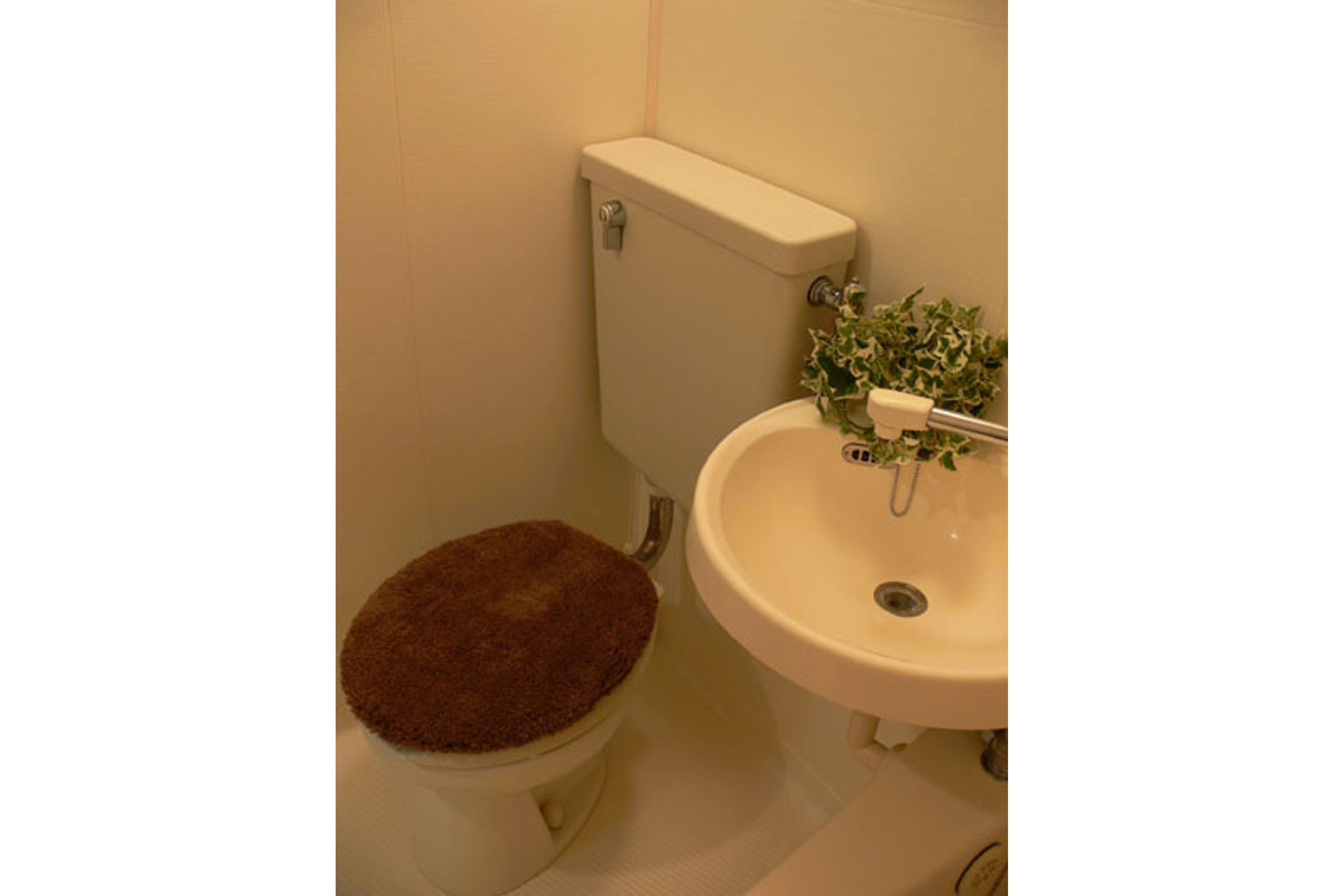 バリュータイプのイメージ