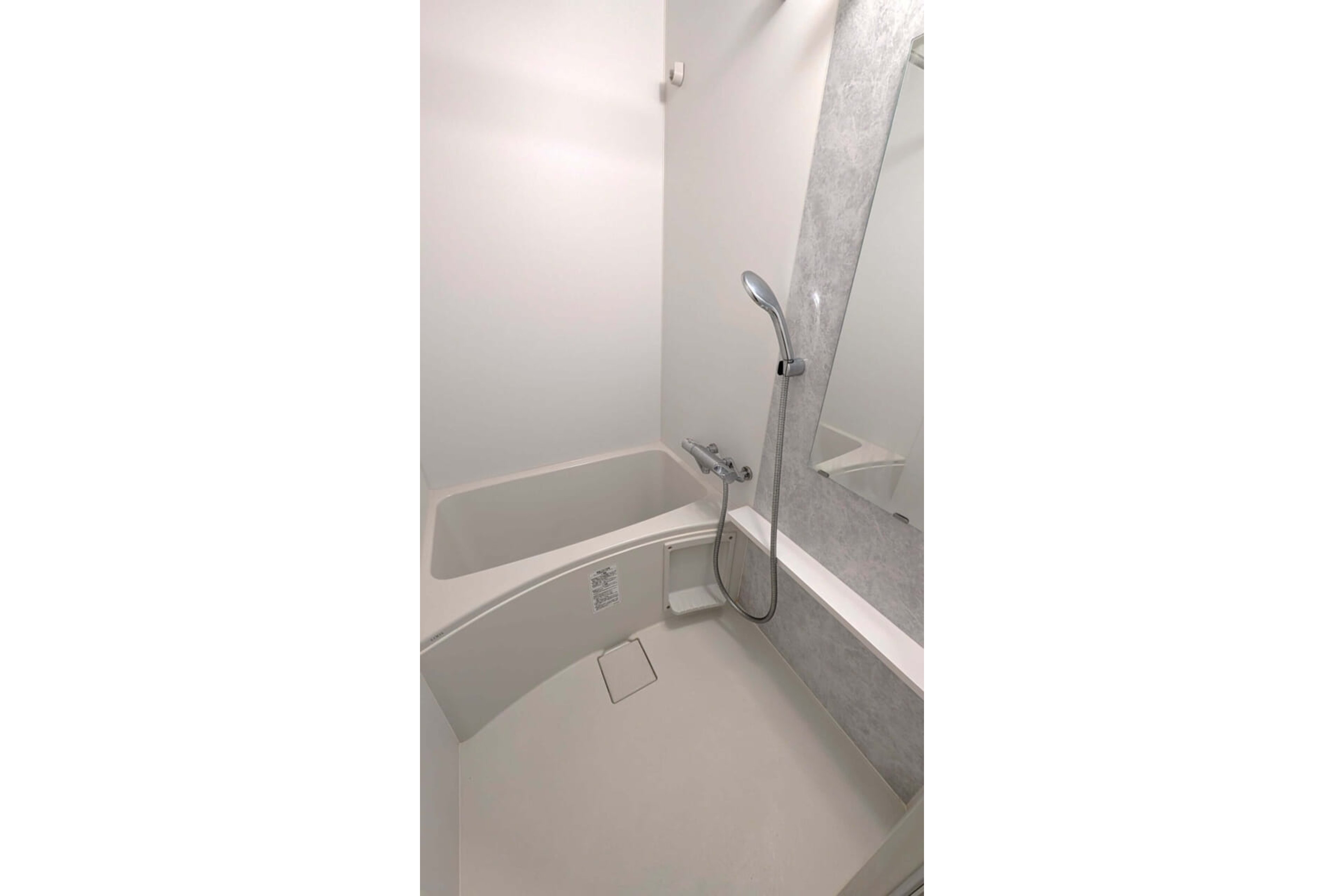 プラチナタイプのイメージ