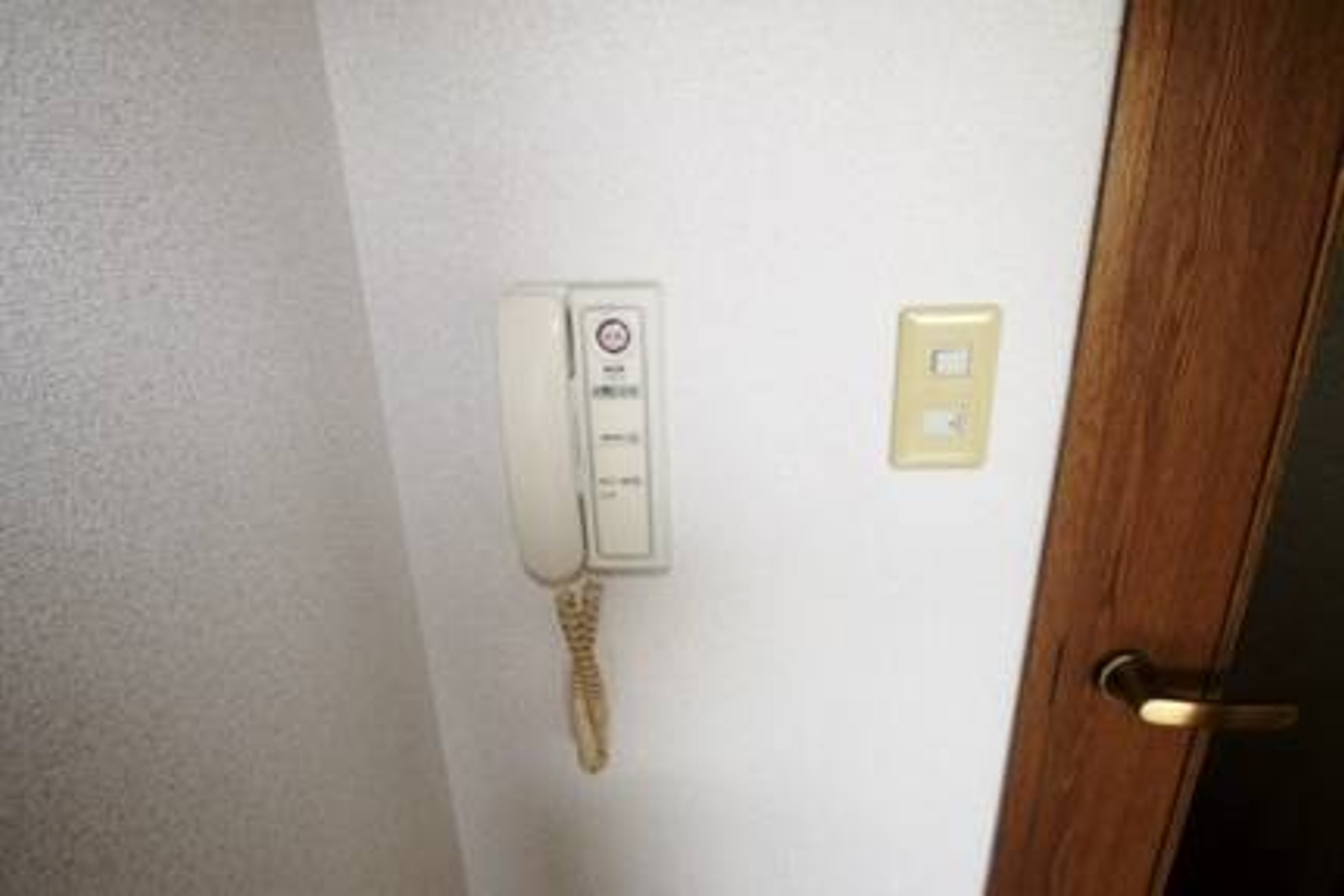 バリュータイプのイメージ