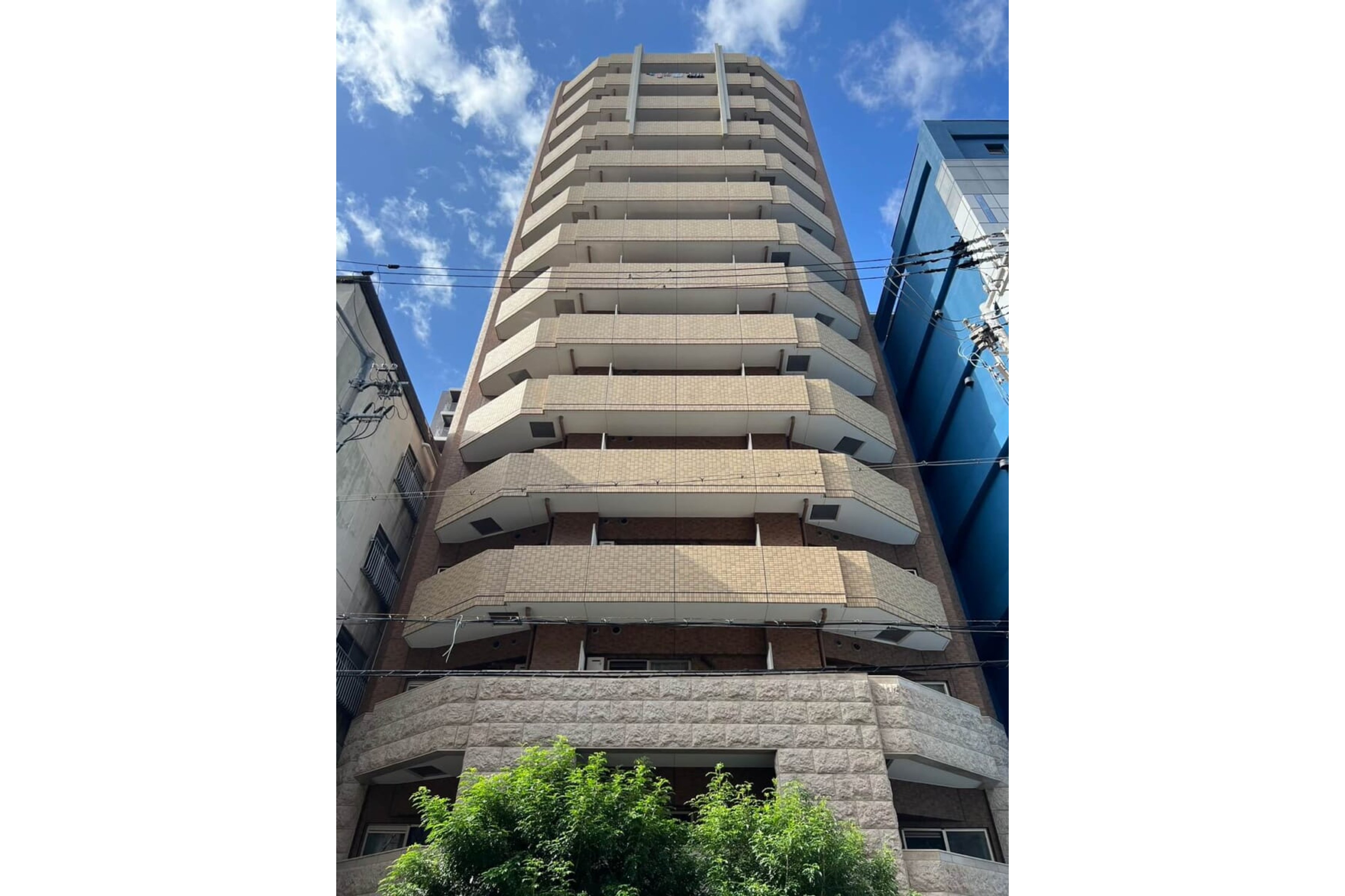 スタンダードタイプのイメージ