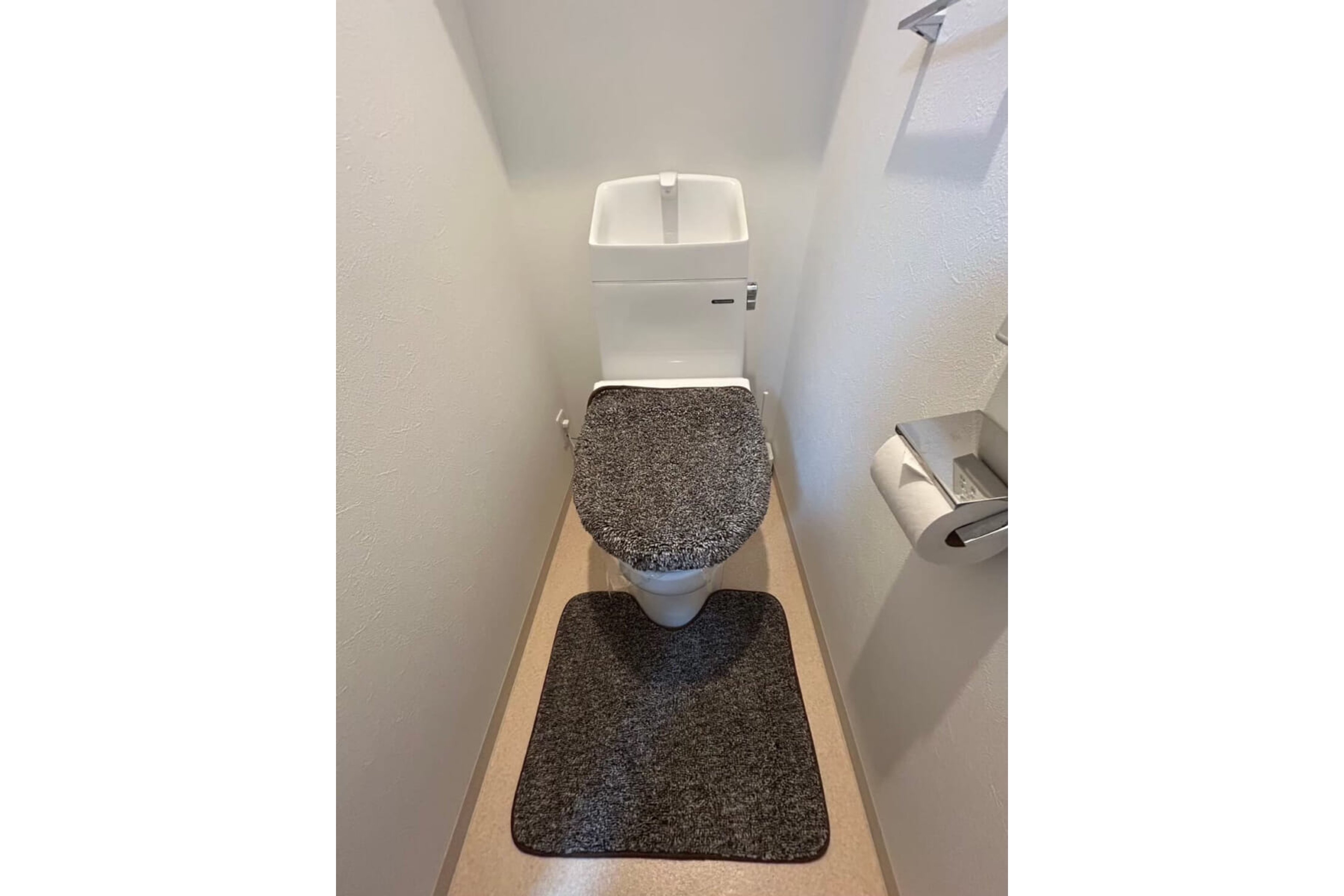 プラチナタイプのイメージ