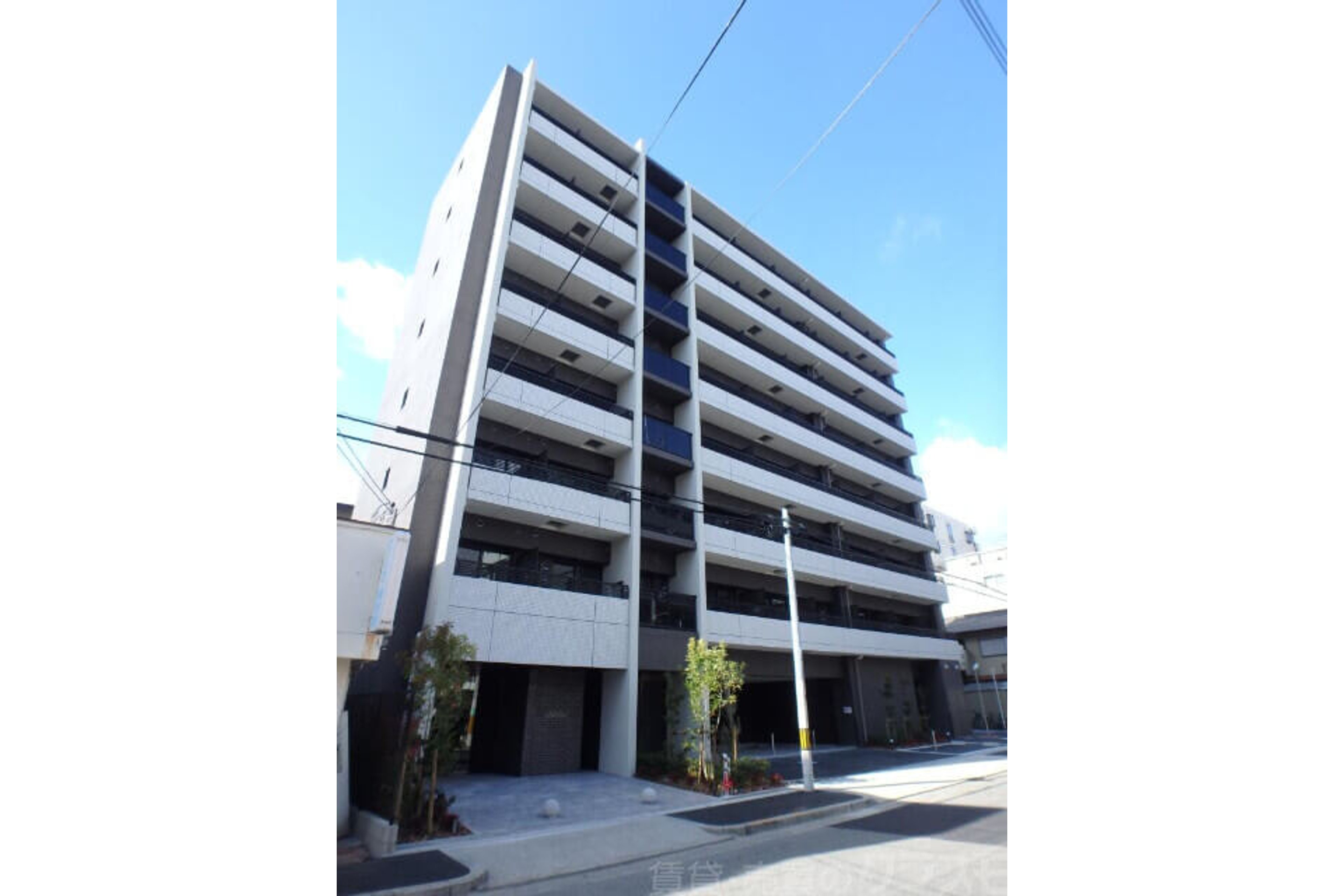 プラチナタイプのイメージ