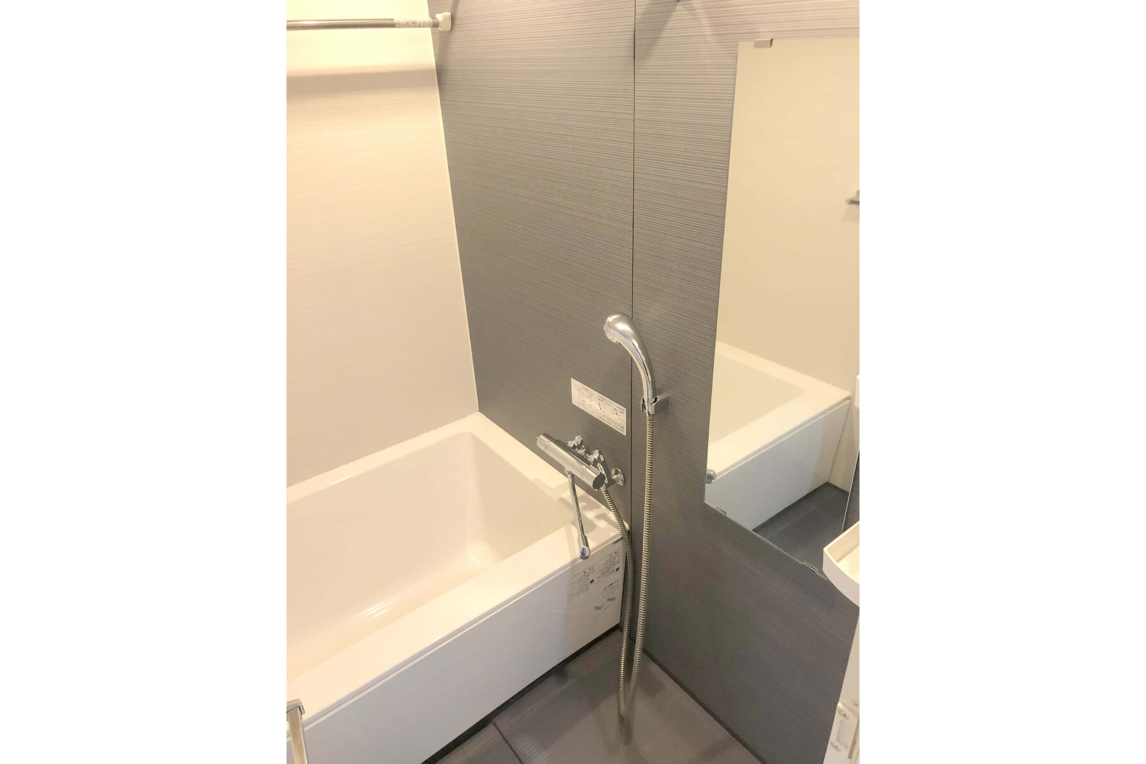 プラチナタイプのイメージ