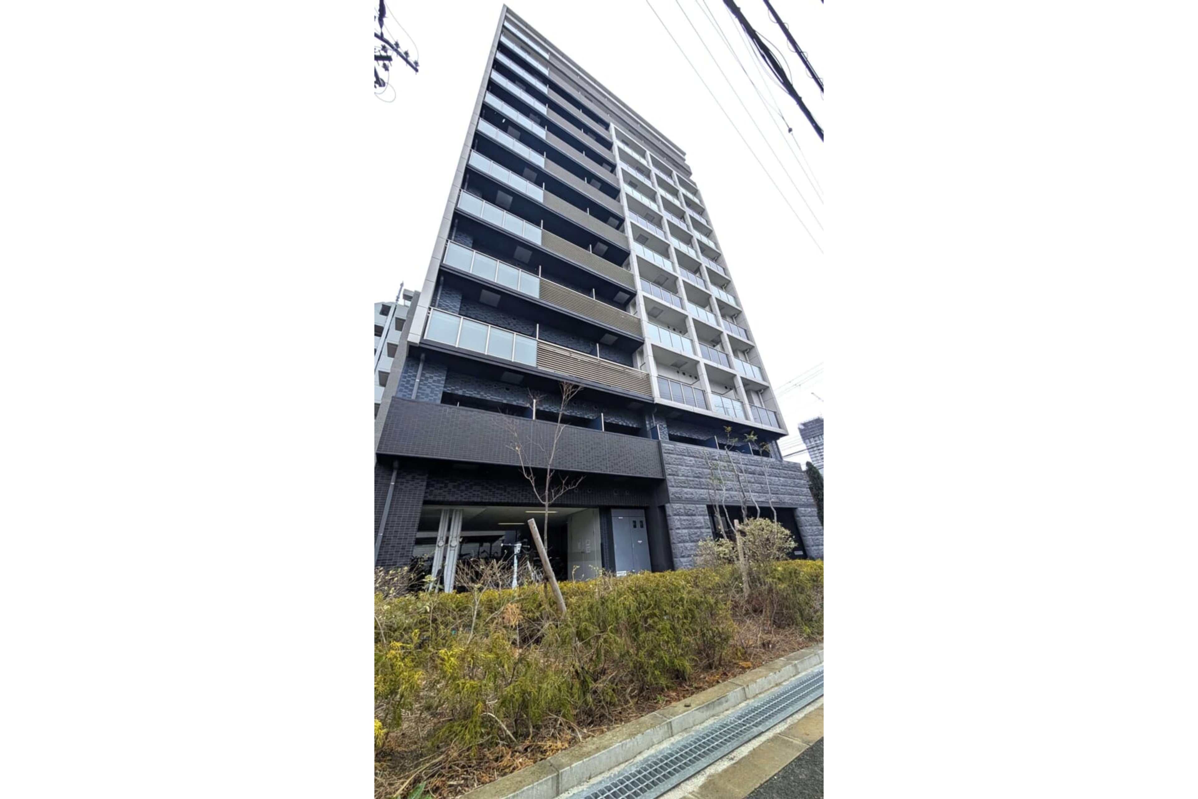 プラチナタイプのイメージ