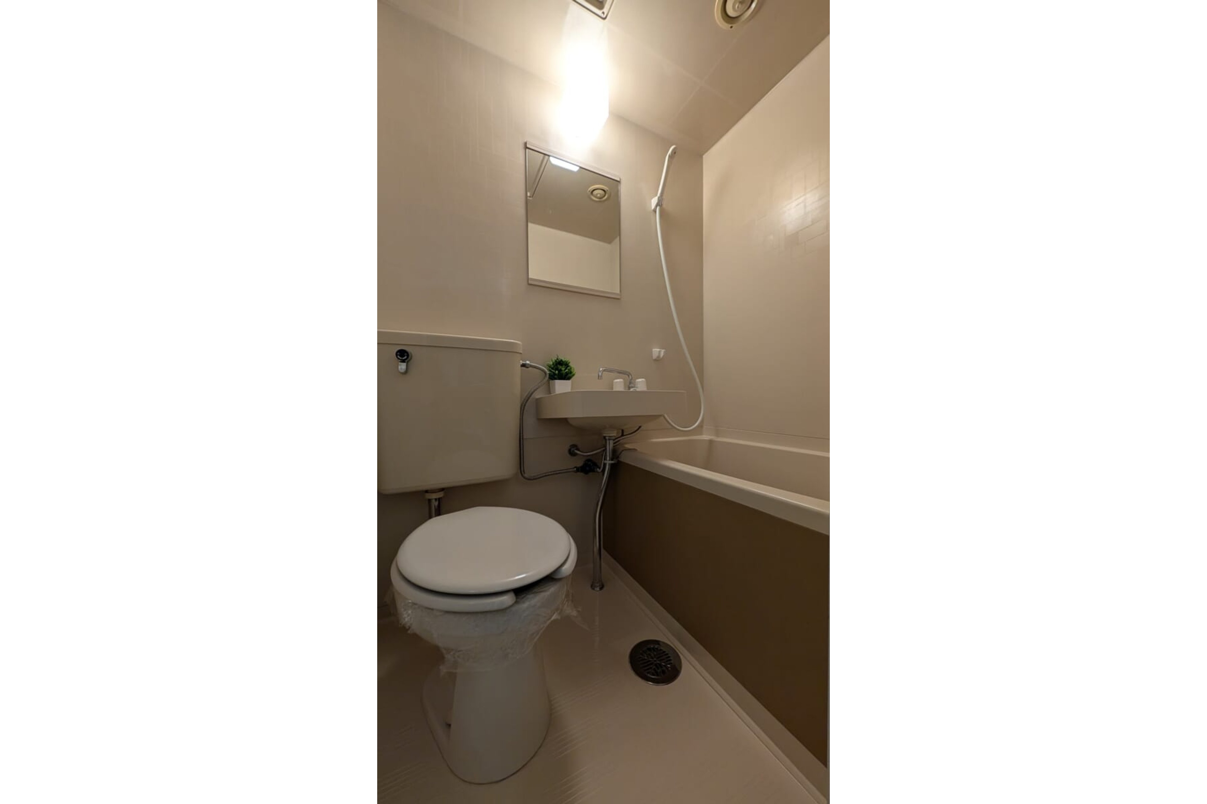 Aタイプのイメージ