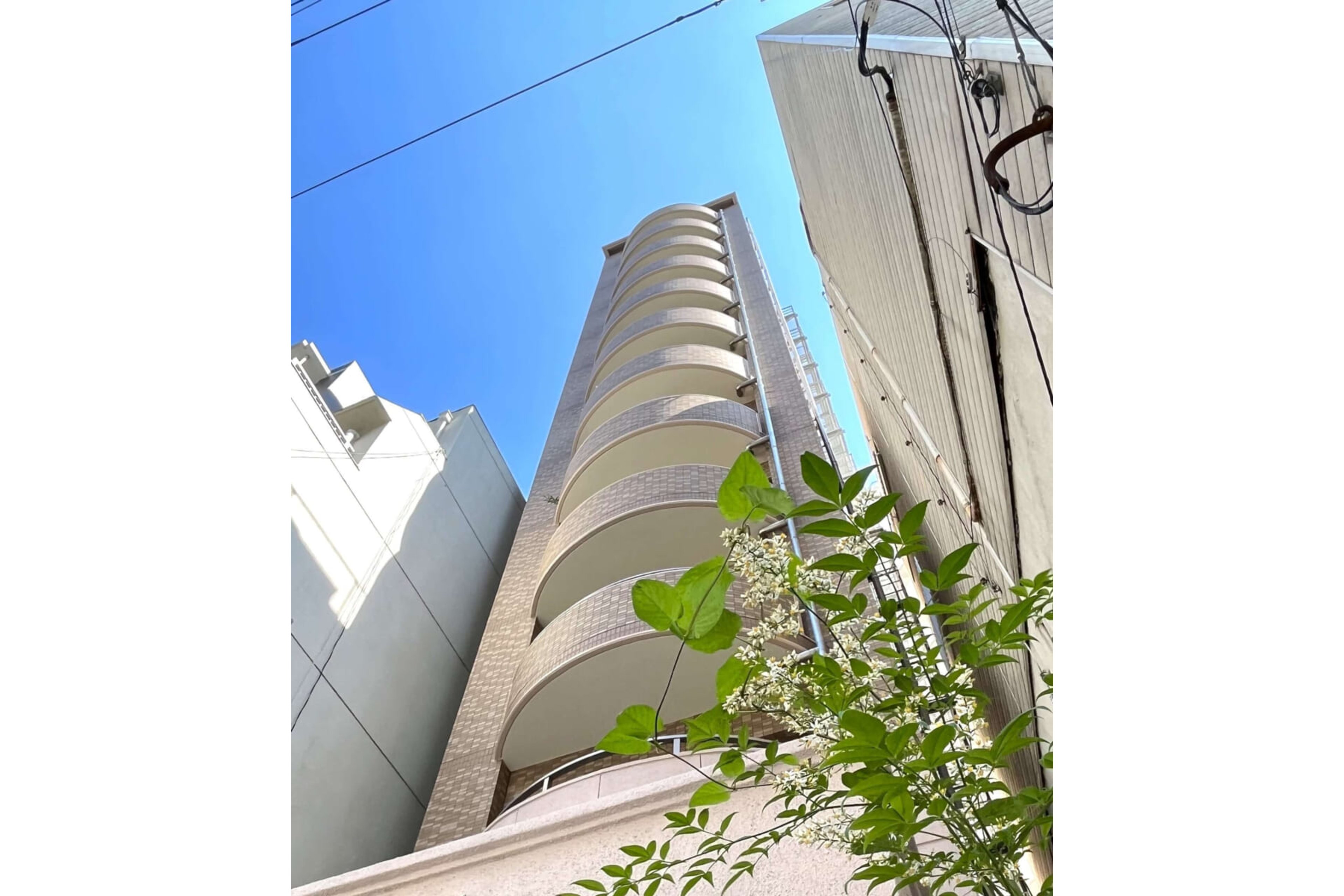 スタンダードタイプのイメージ