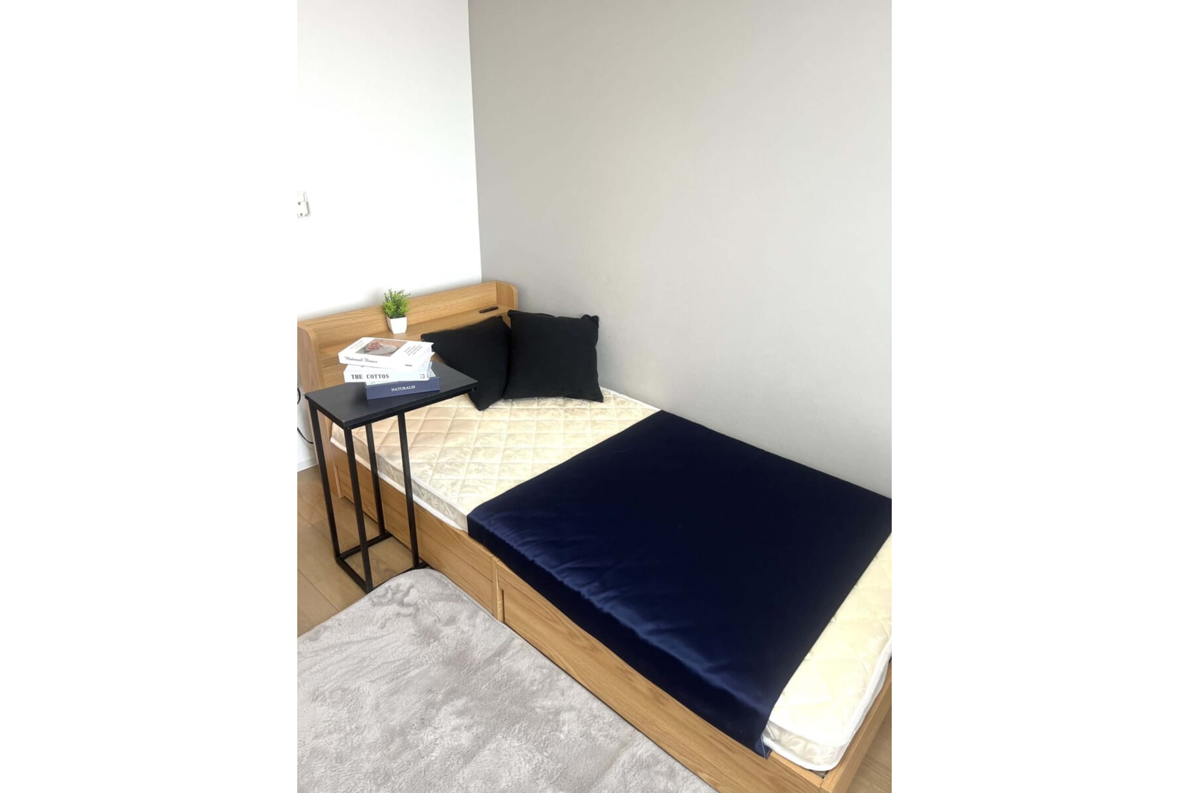 プラチナタイプのイメージ