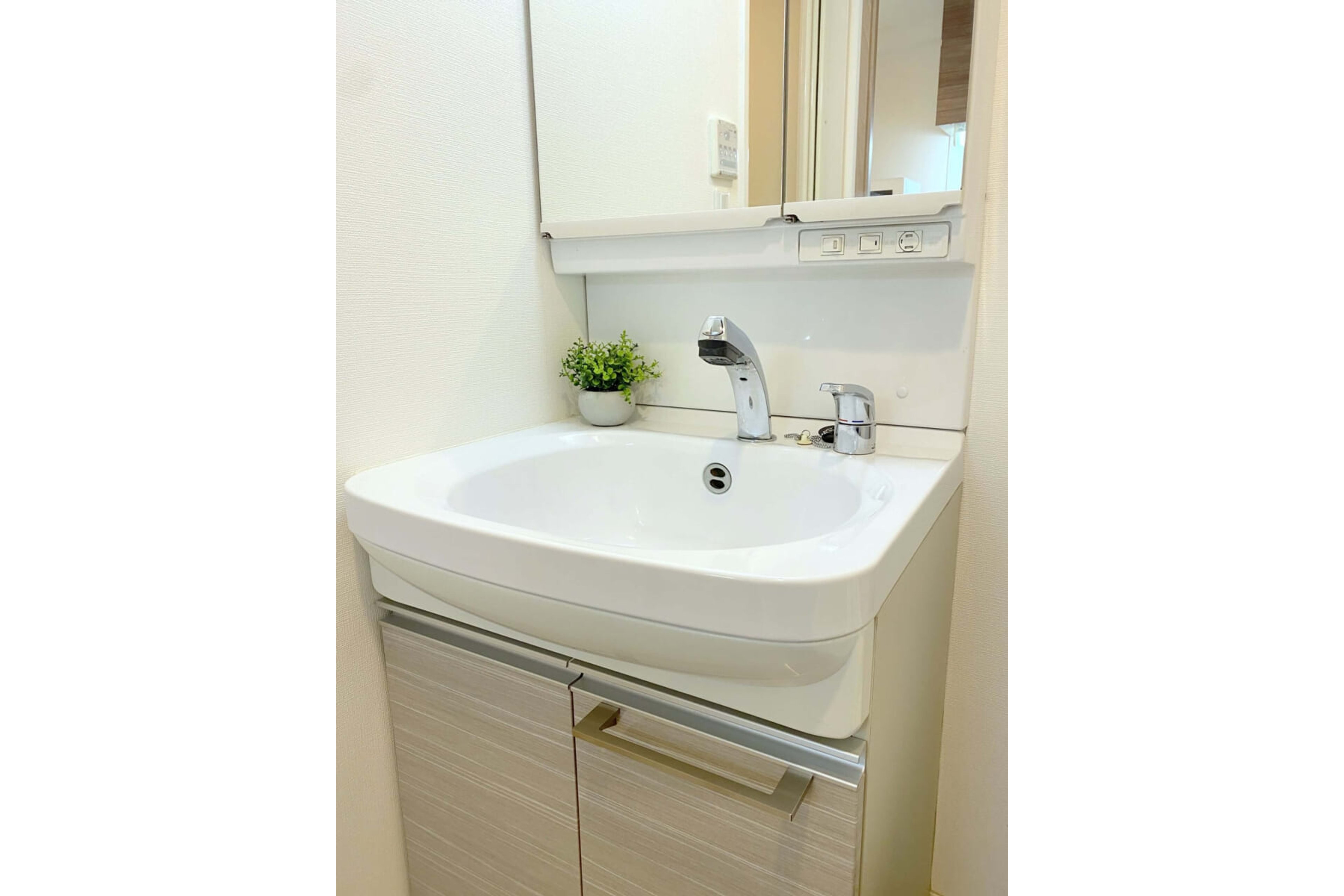 プラチナタイプのイメージ