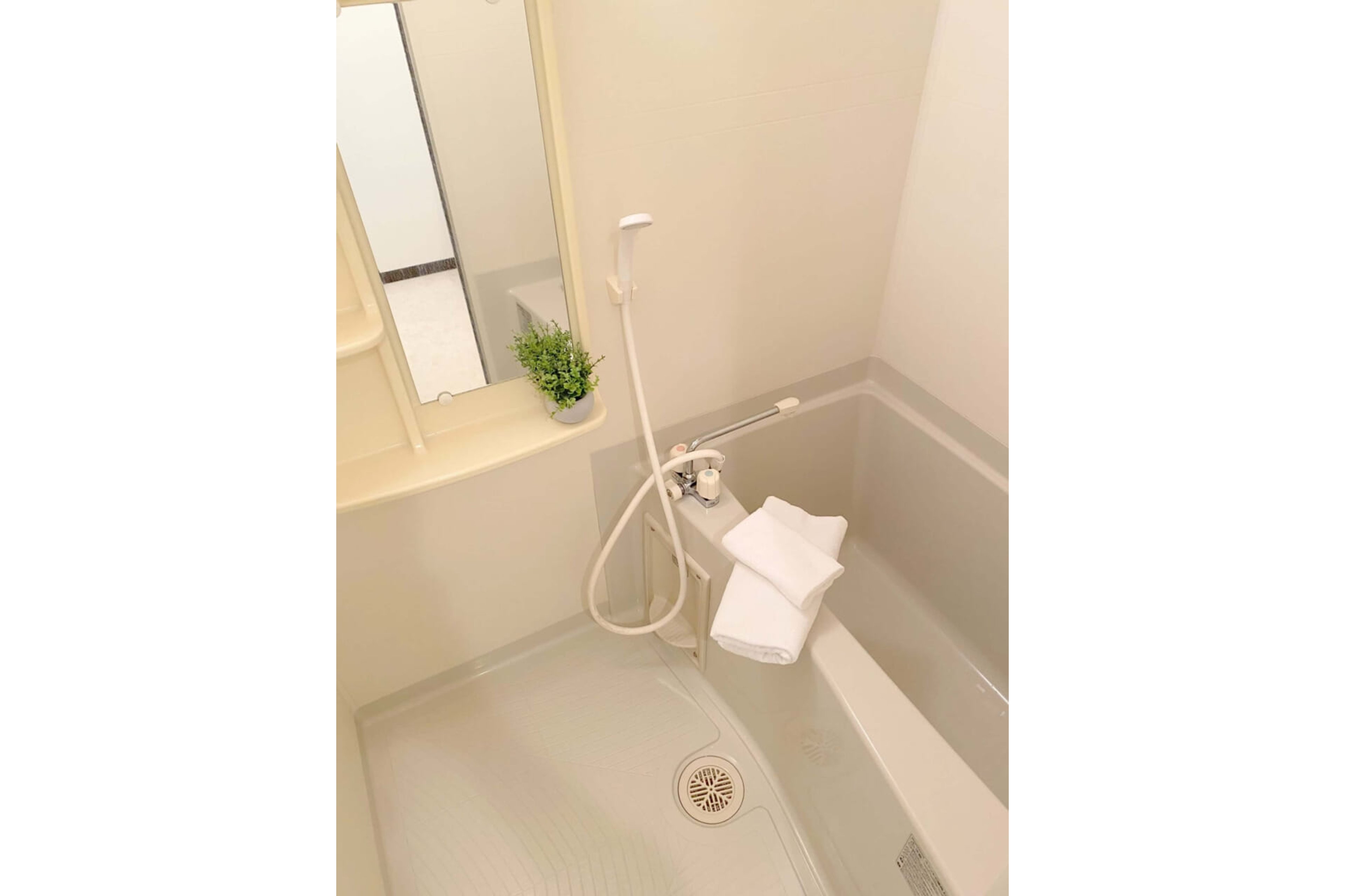 プラチナタイプのイメージ