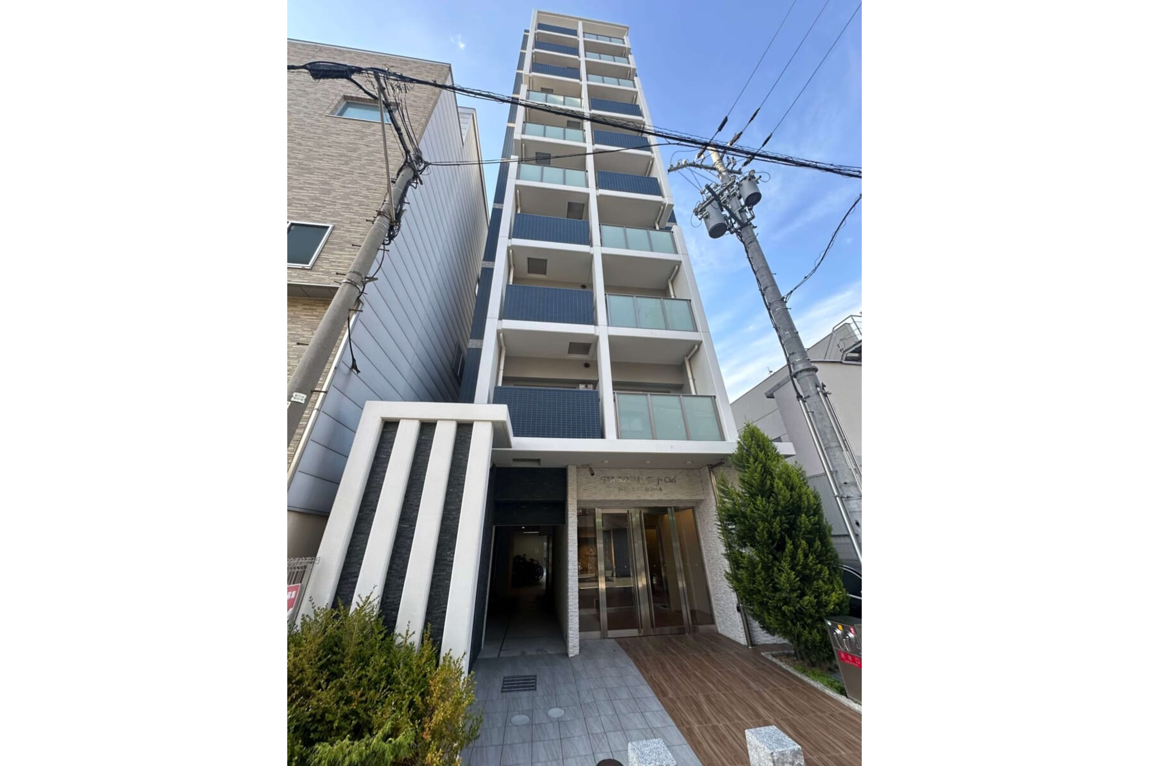 プラチナタイプのイメージ