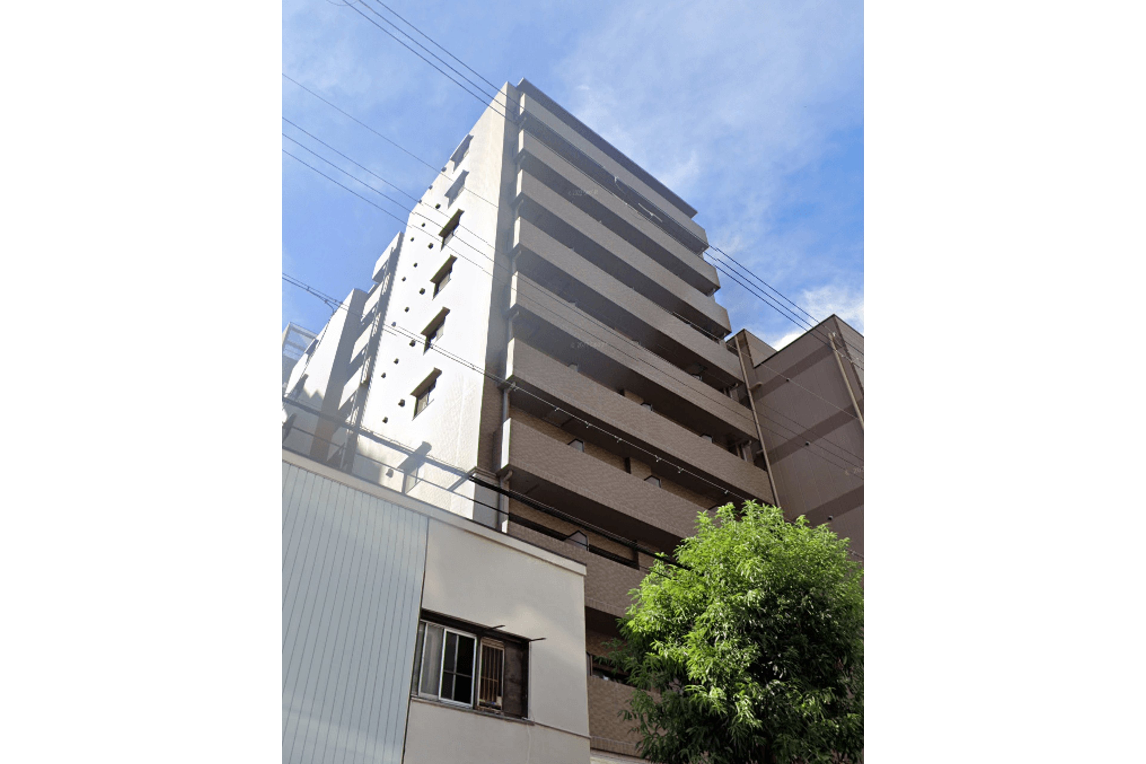 スタンダードタイプのイメージ