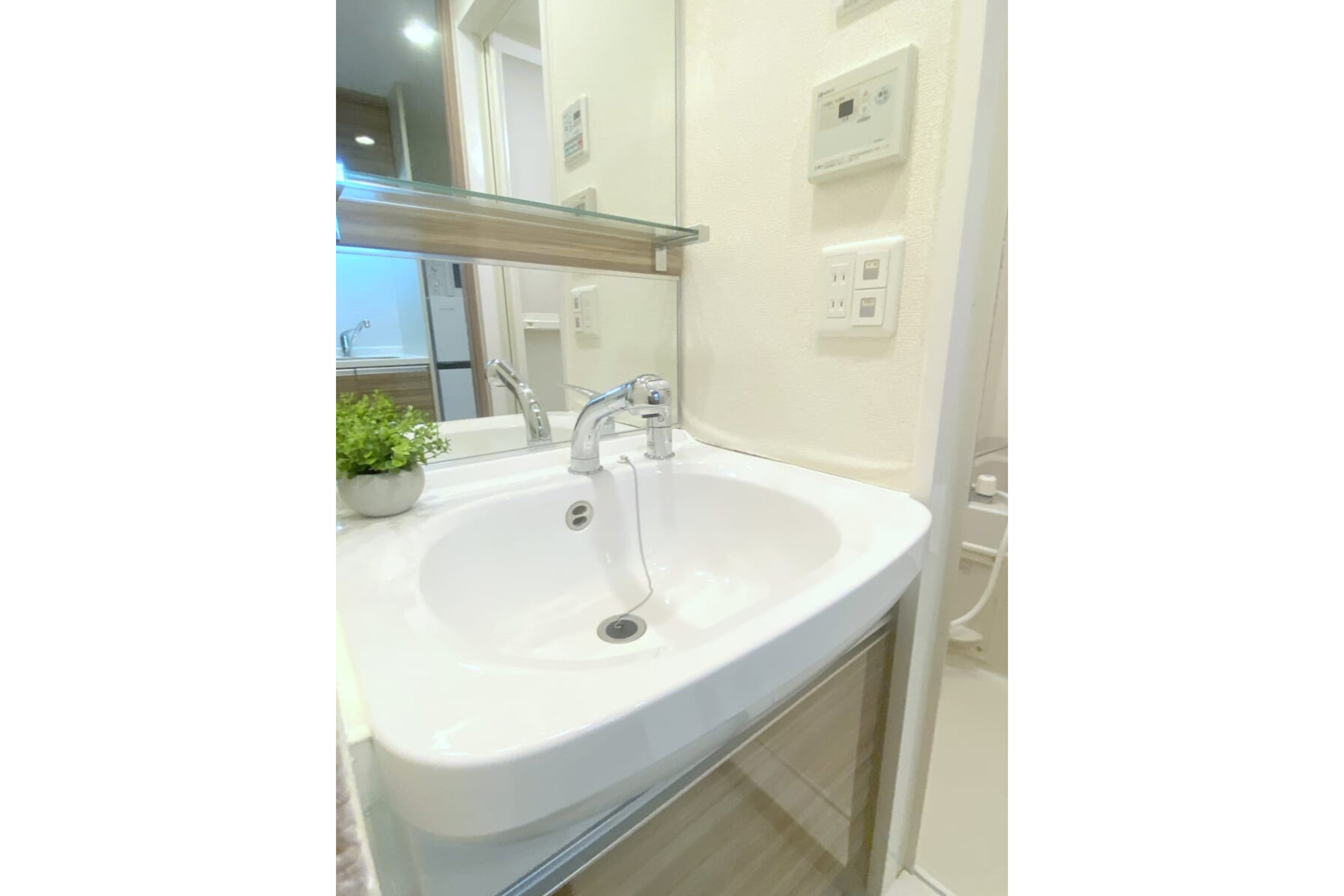 プラチナタイプのイメージ