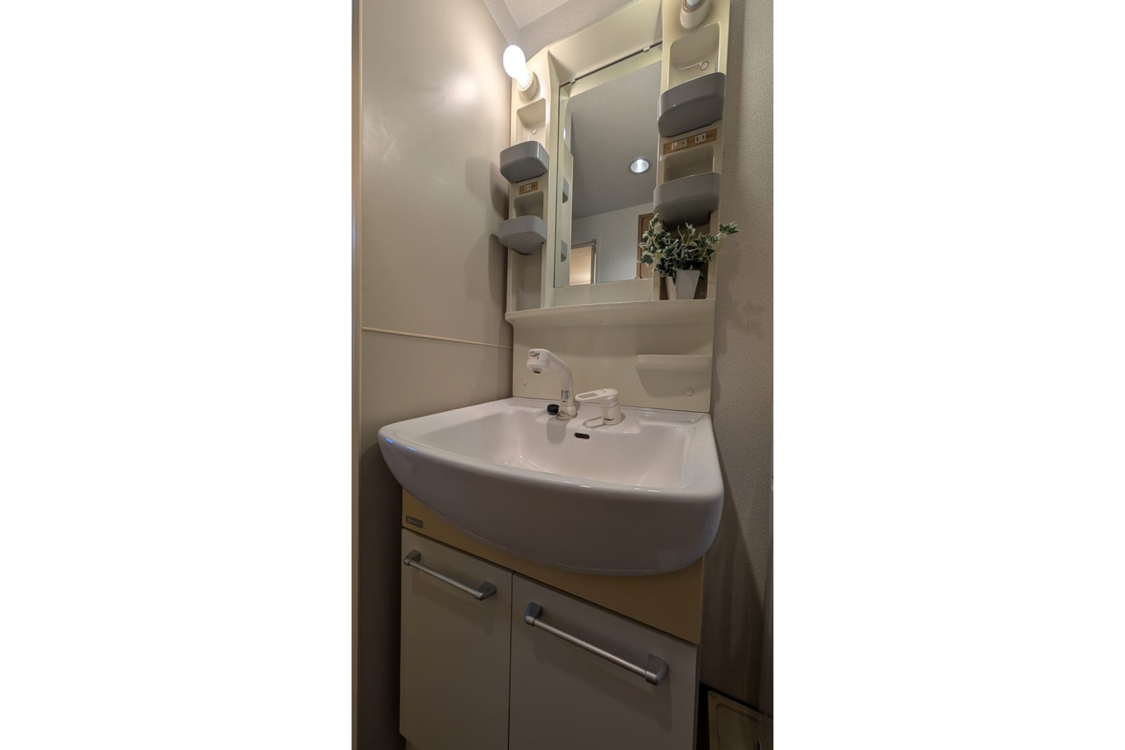 スタンダードタイプのイメージ