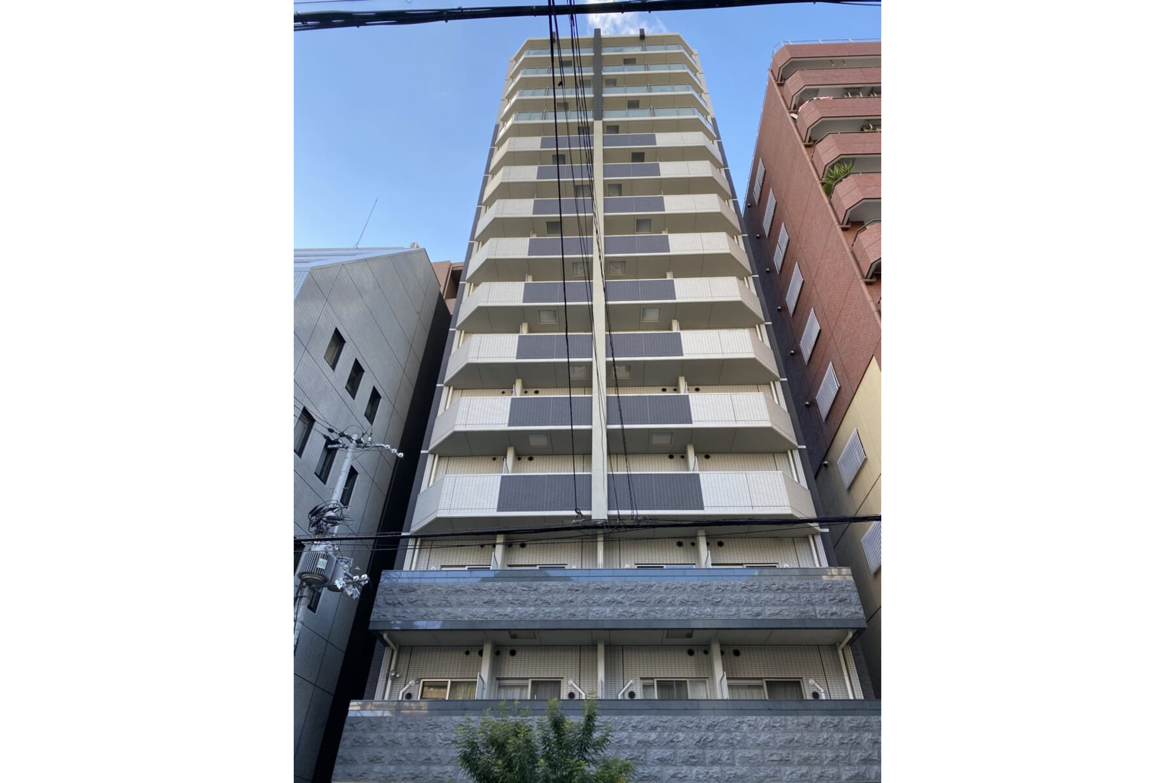 プラチナタイプのイメージ