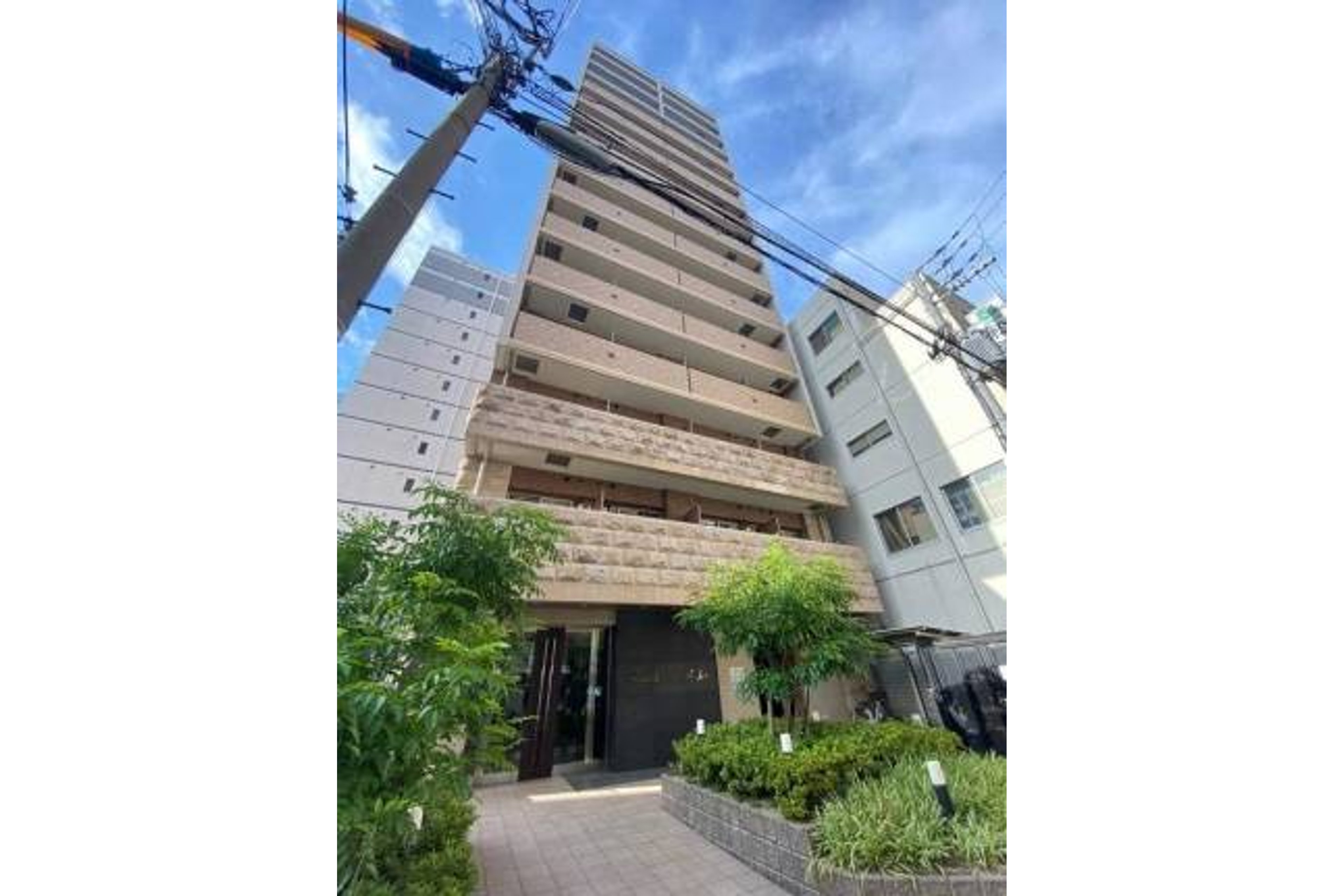 スタンダードタイプのイメージ