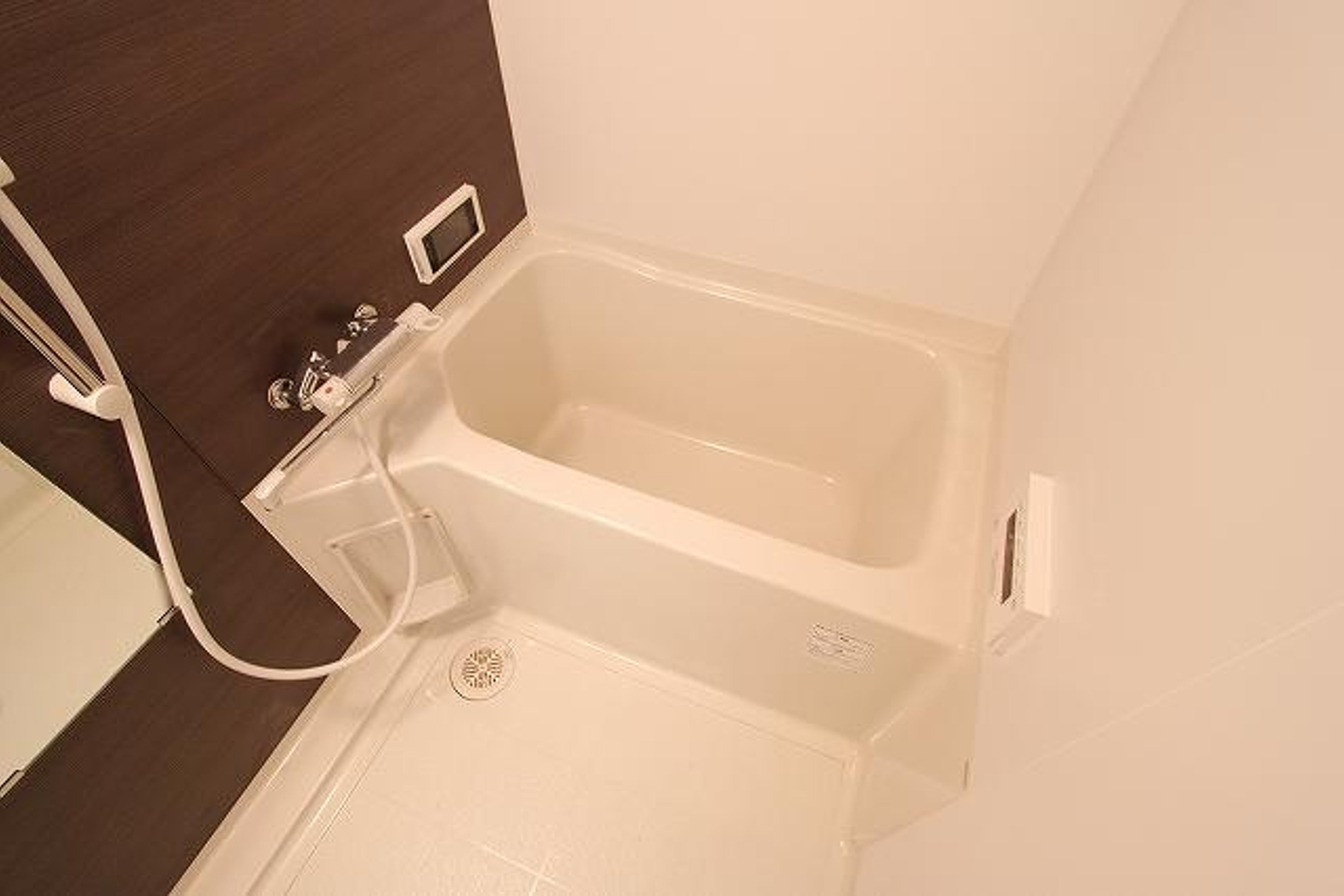 プラチナタイプのイメージ