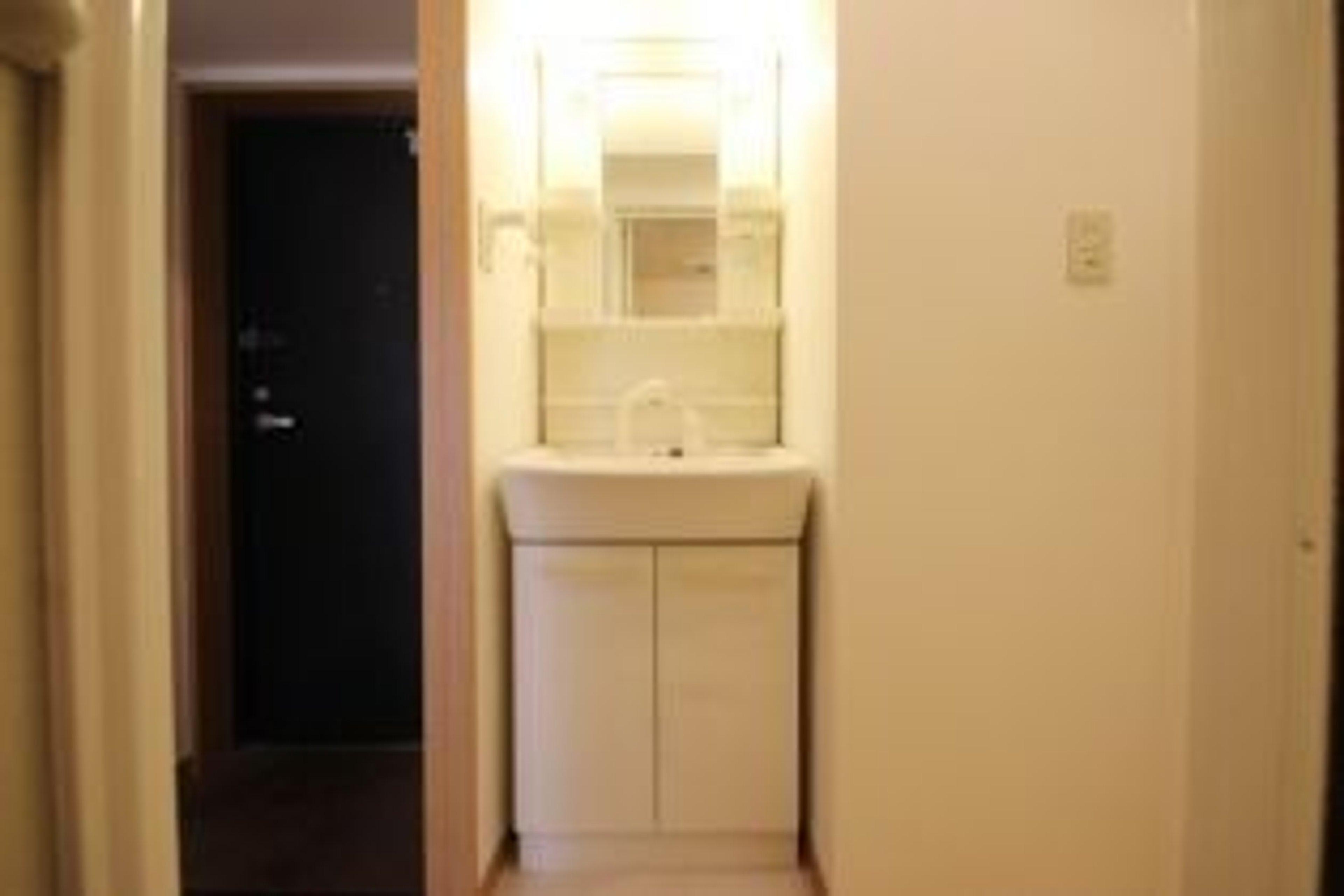 プラチナタイプのイメージ