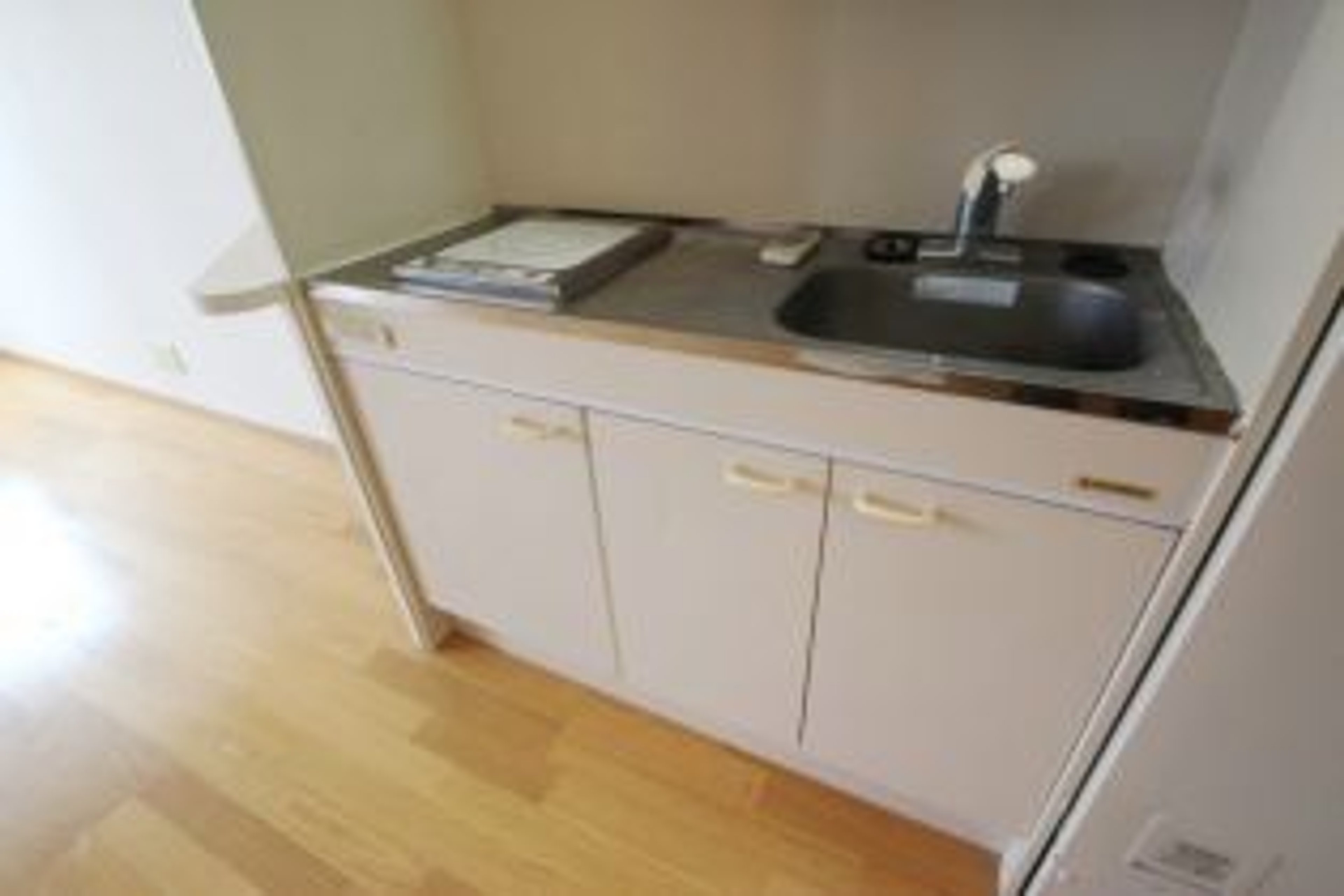 プラチナタイプのイメージ