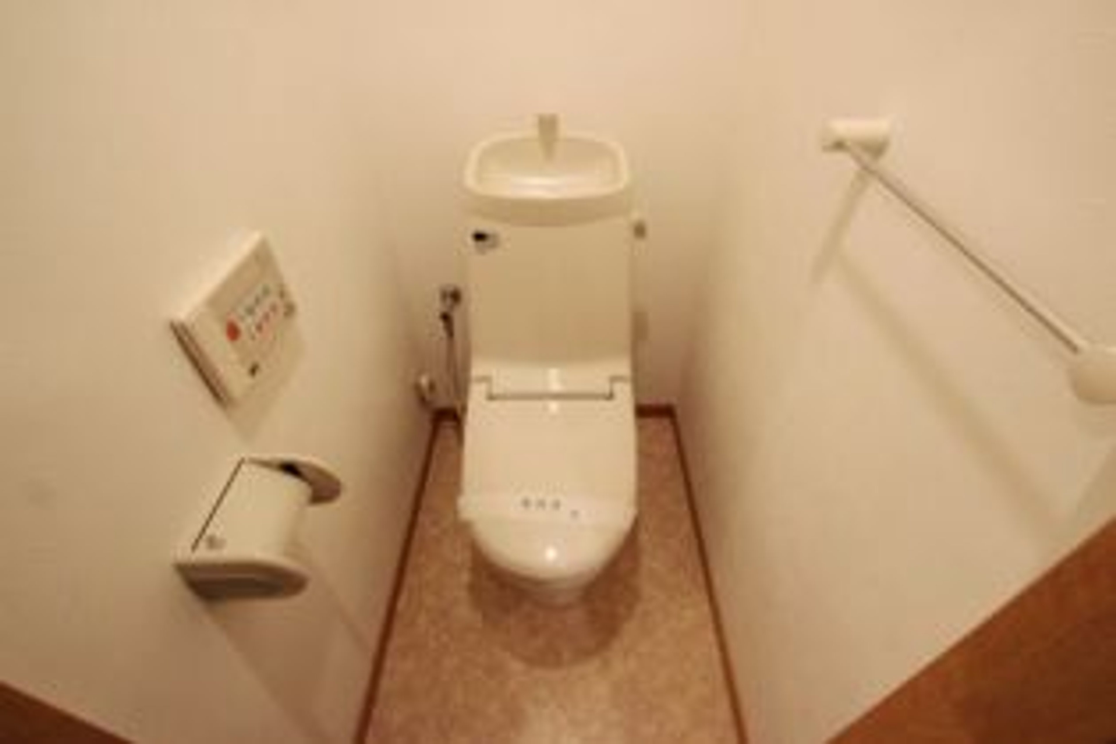 プラチナタイプのイメージ