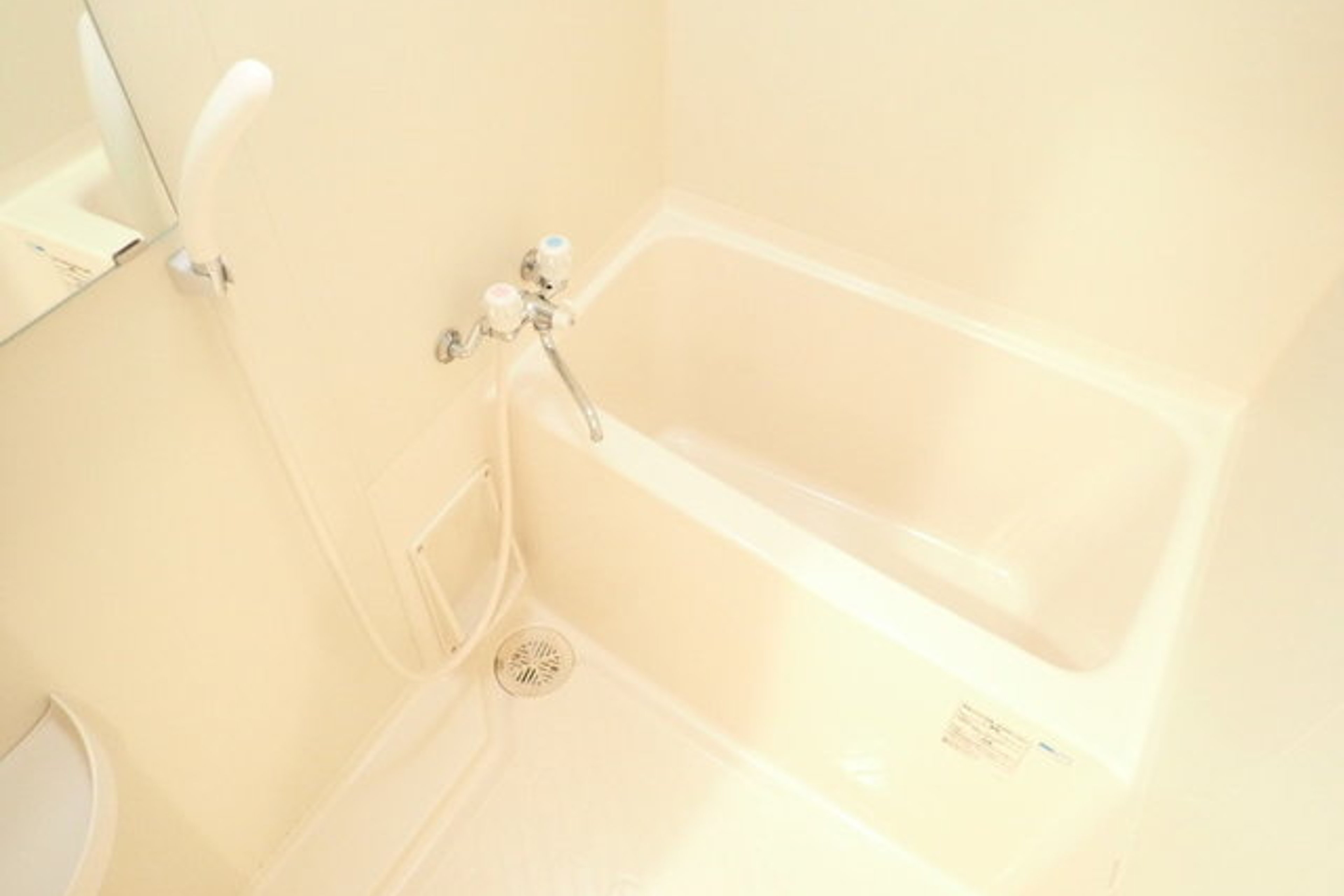 プラチナタイプのイメージ