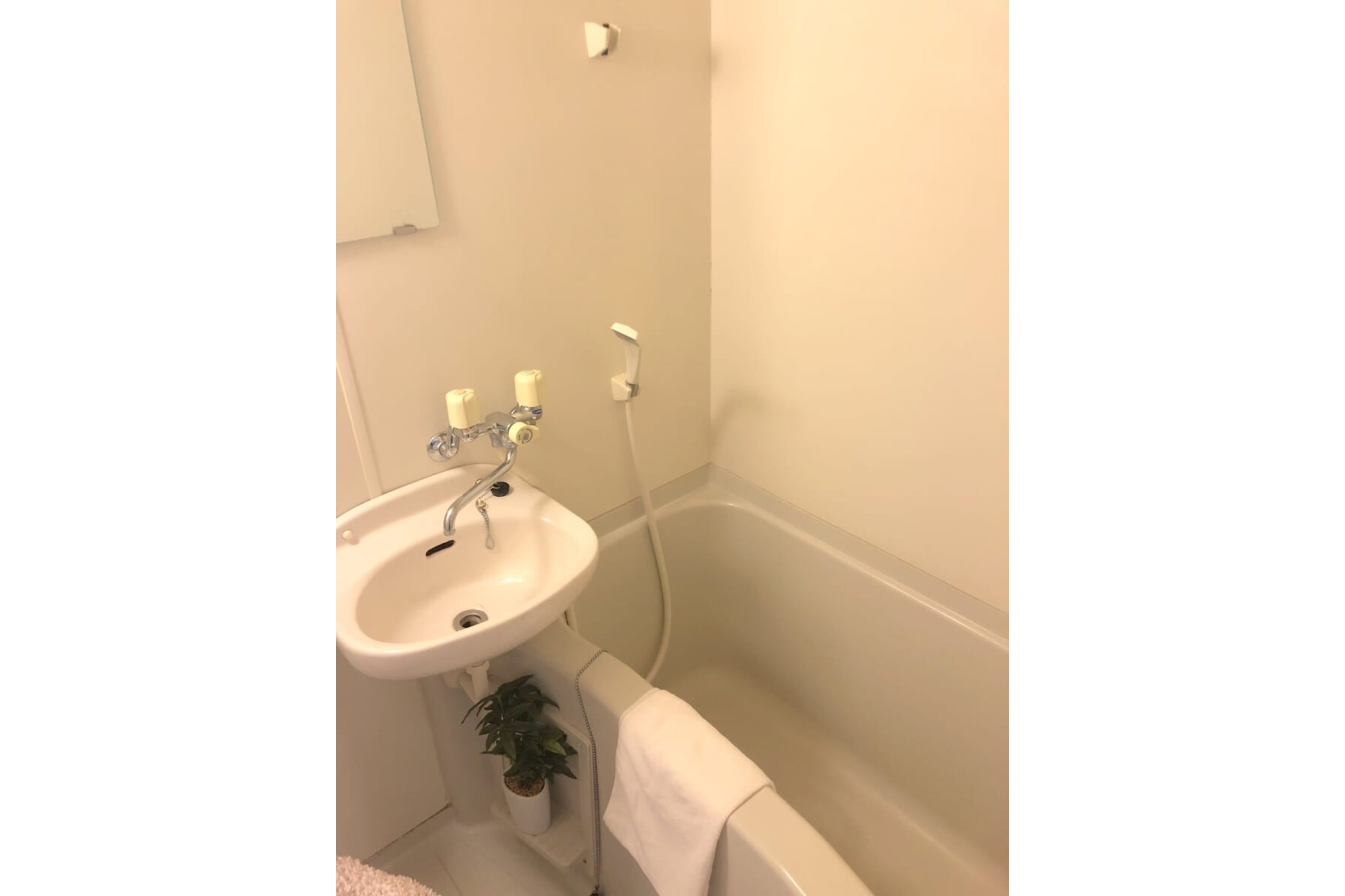 バリュータイプのイメージ