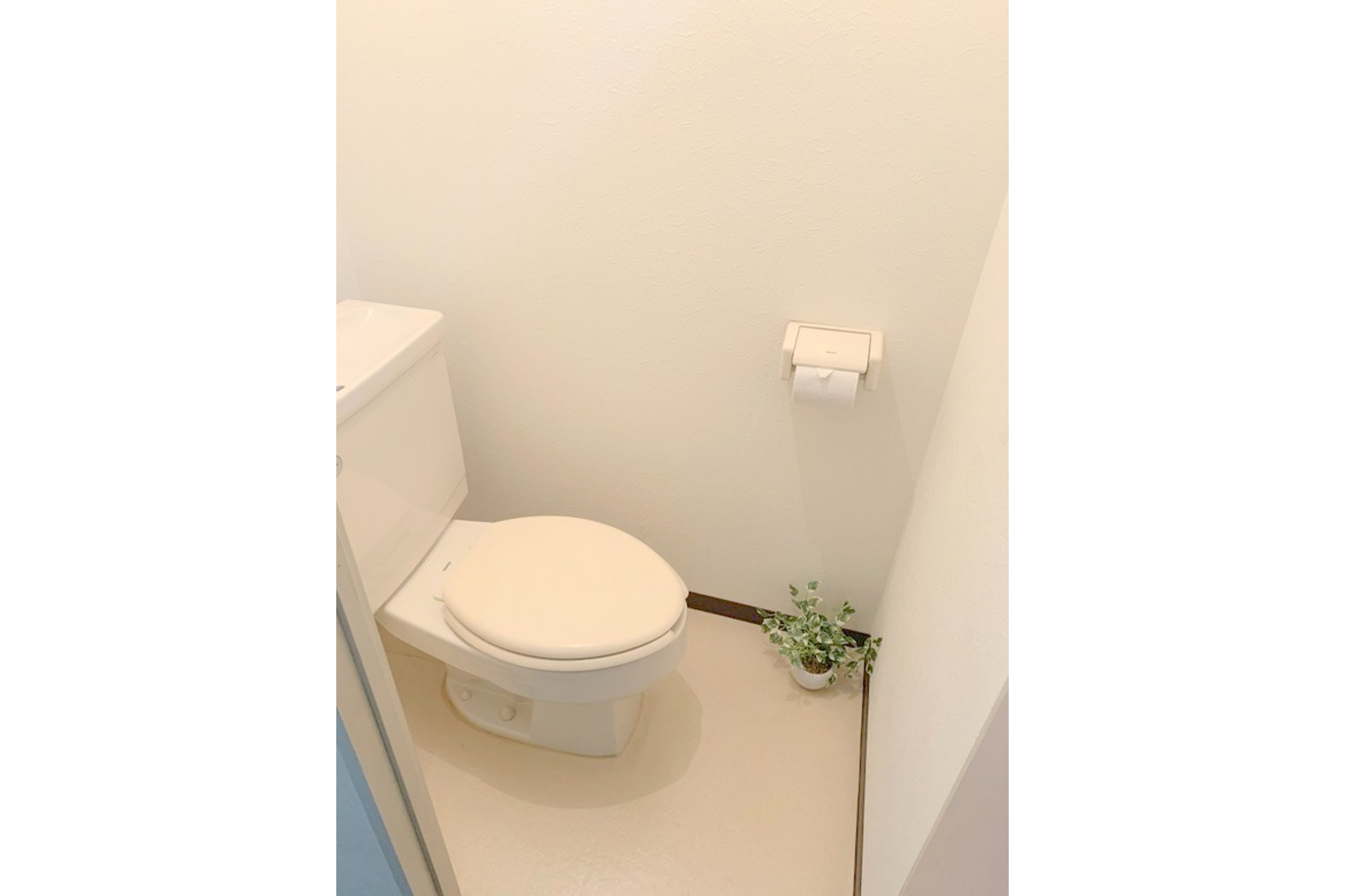 スタンダードタイプのイメージ