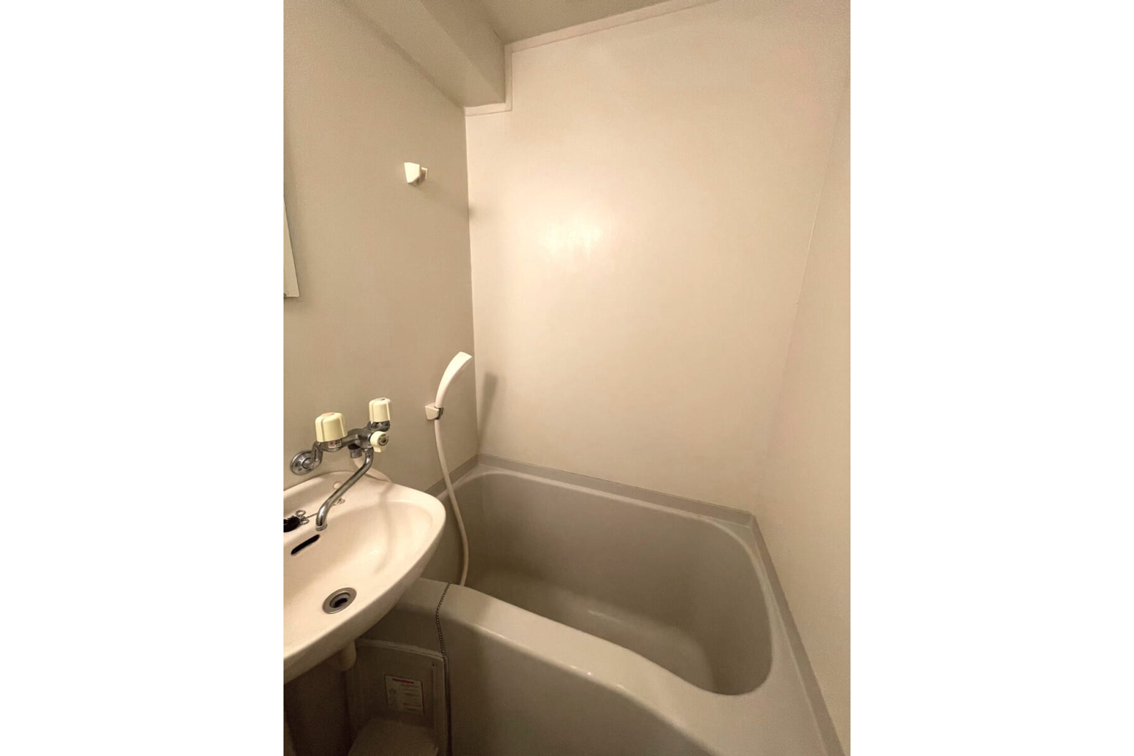 バリュータイプのイメージ