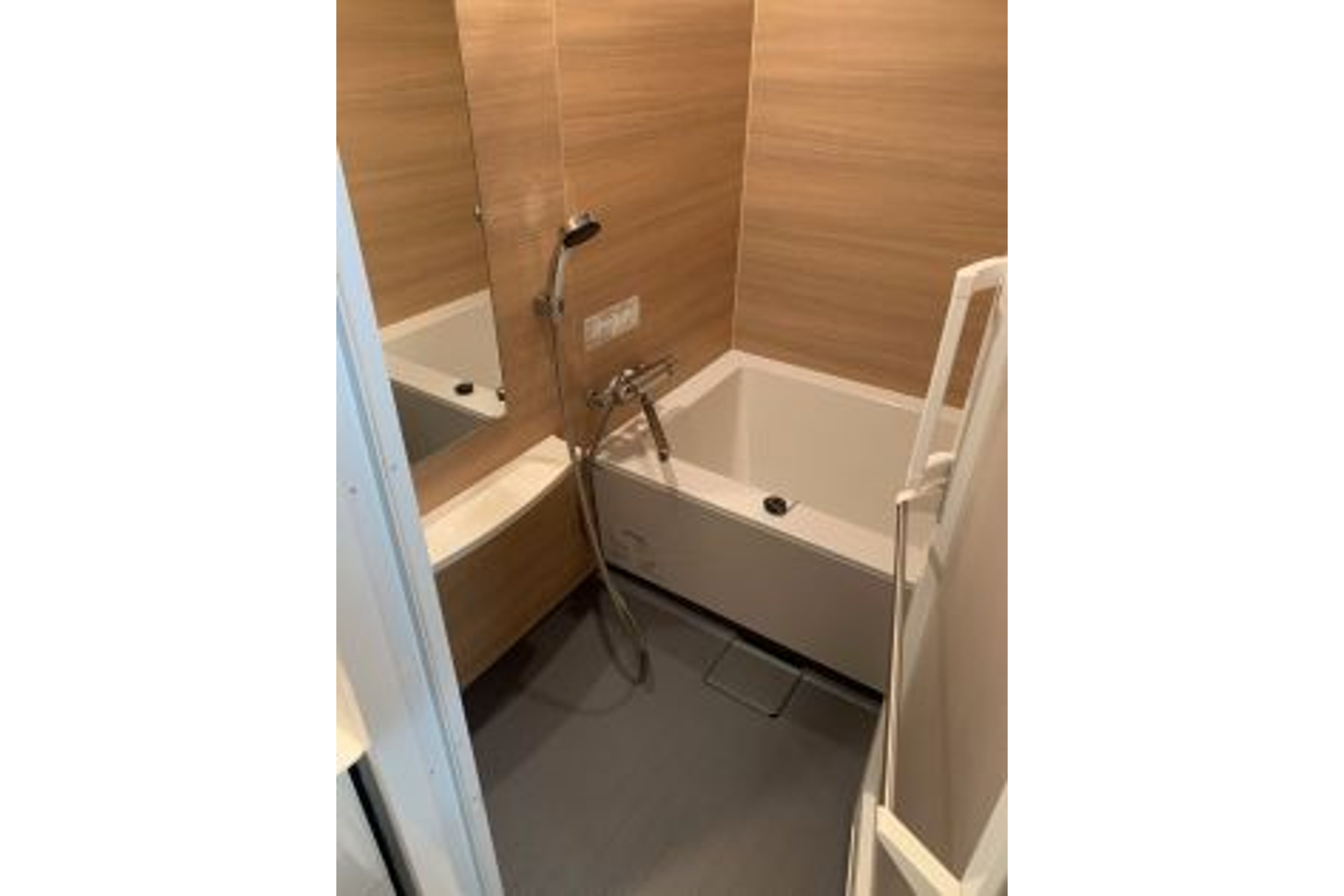 プラチナタイプのイメージ