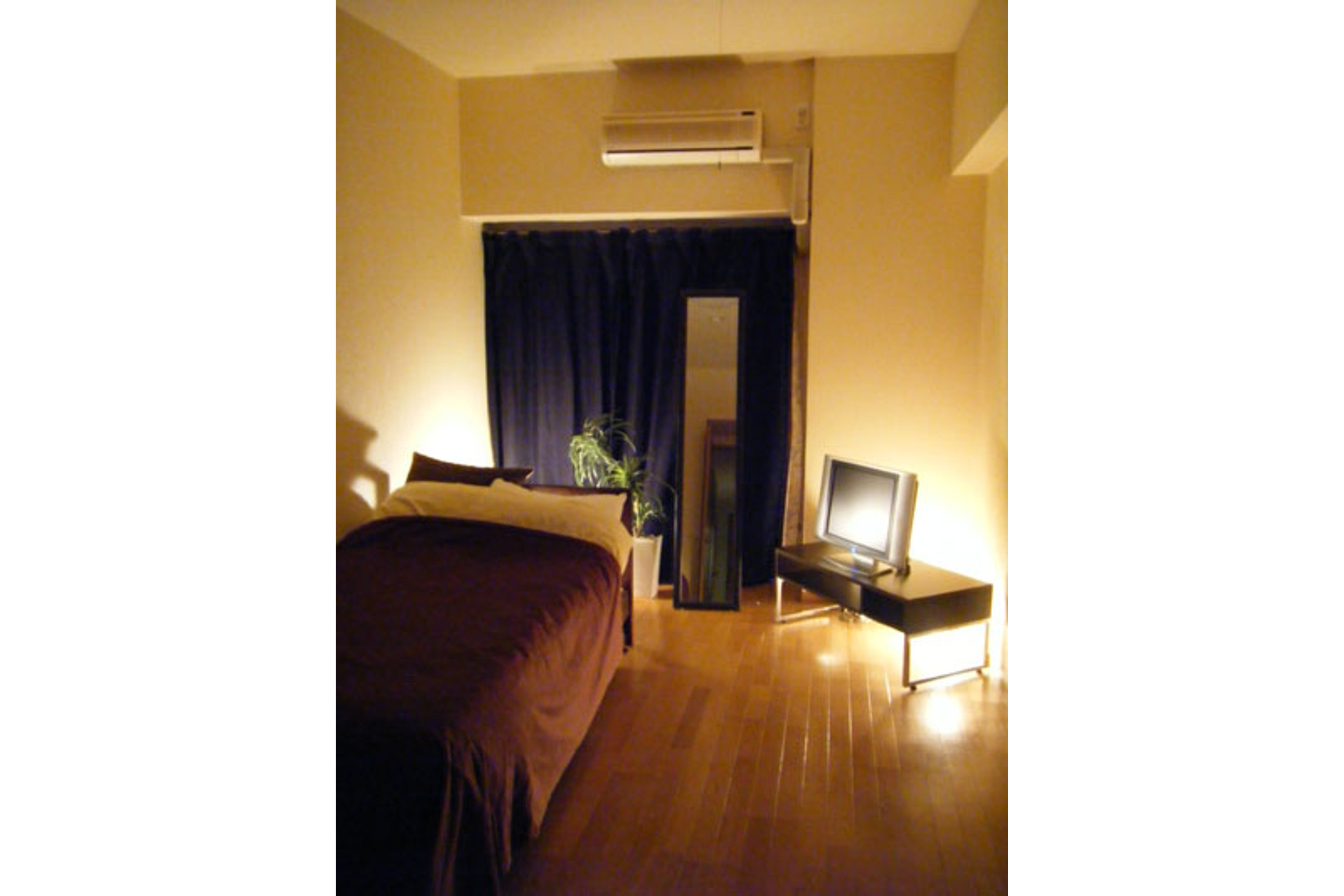 プラチナタイプのイメージ