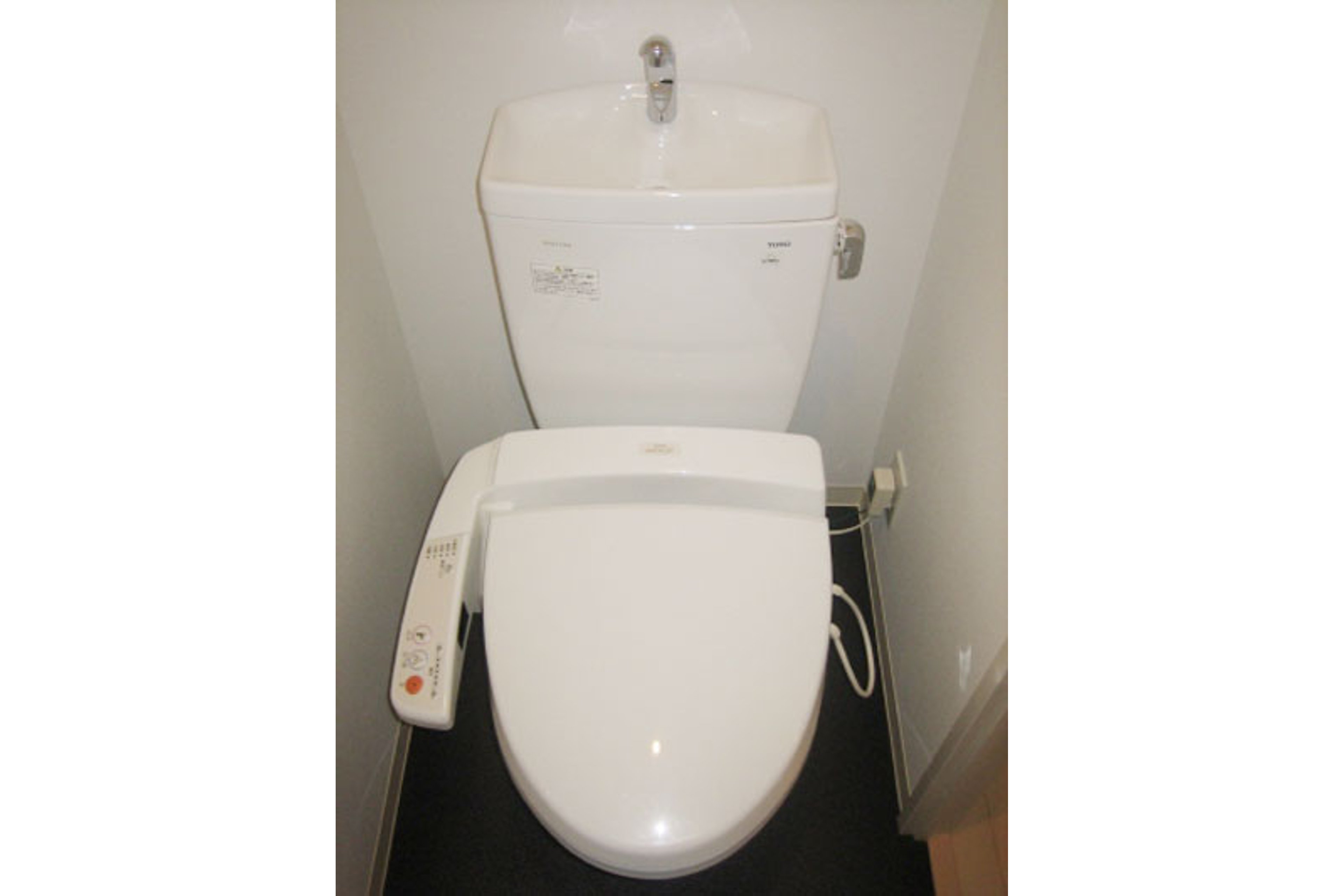 プラチナタイプのイメージ