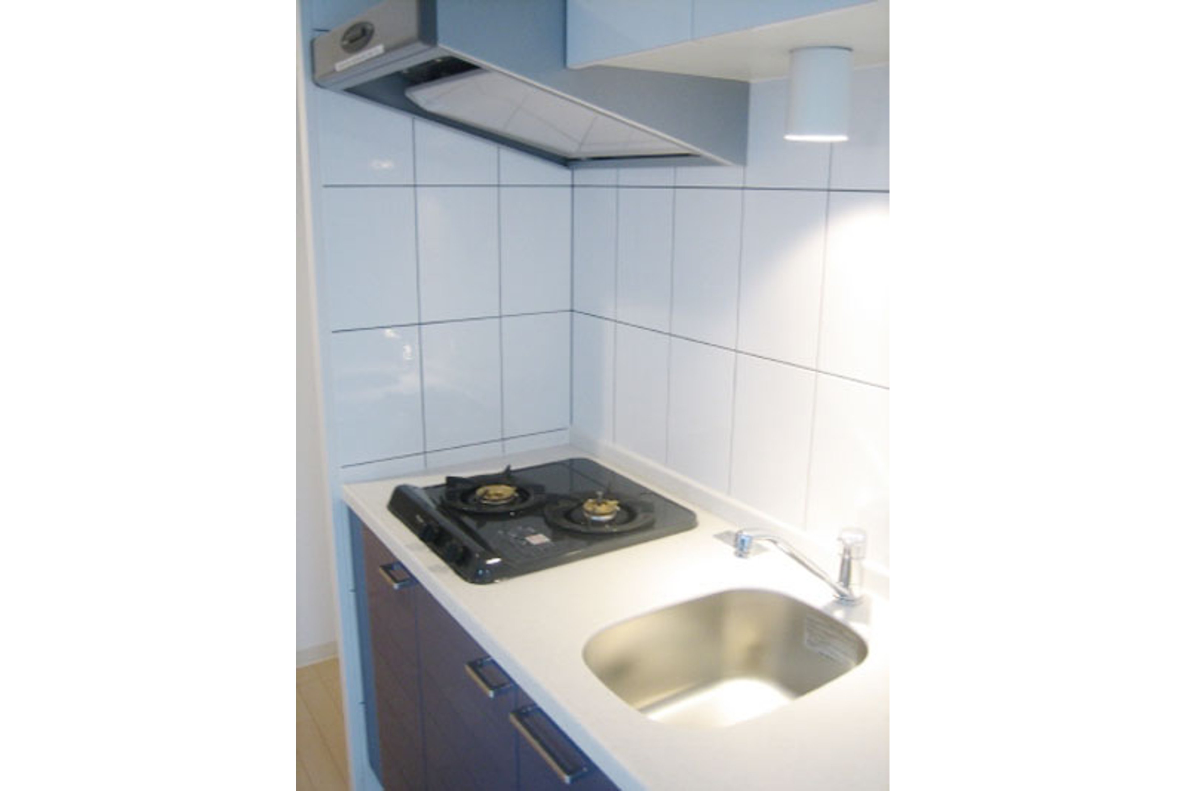 プラチナタイプのイメージ