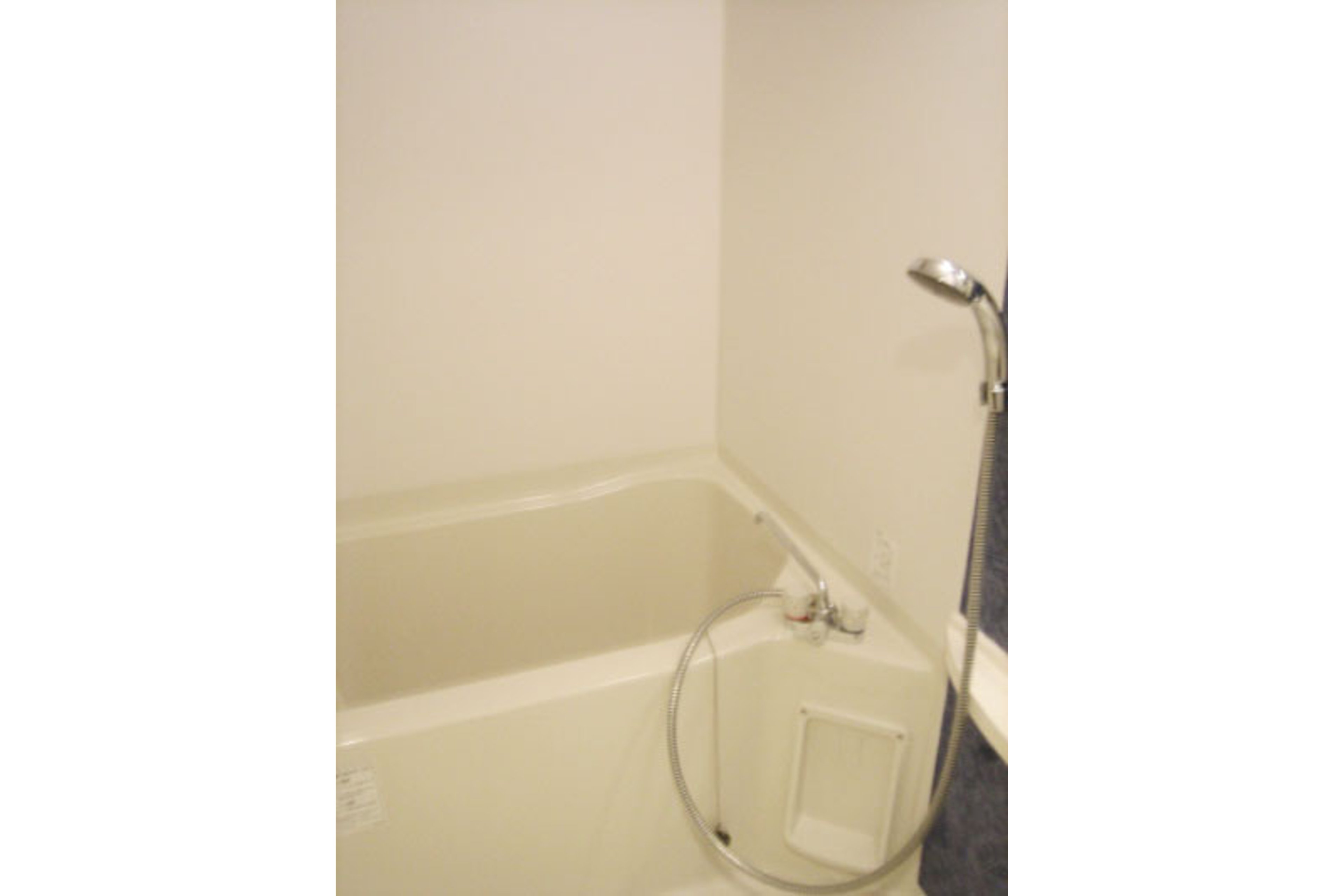 プラチナタイプのイメージ