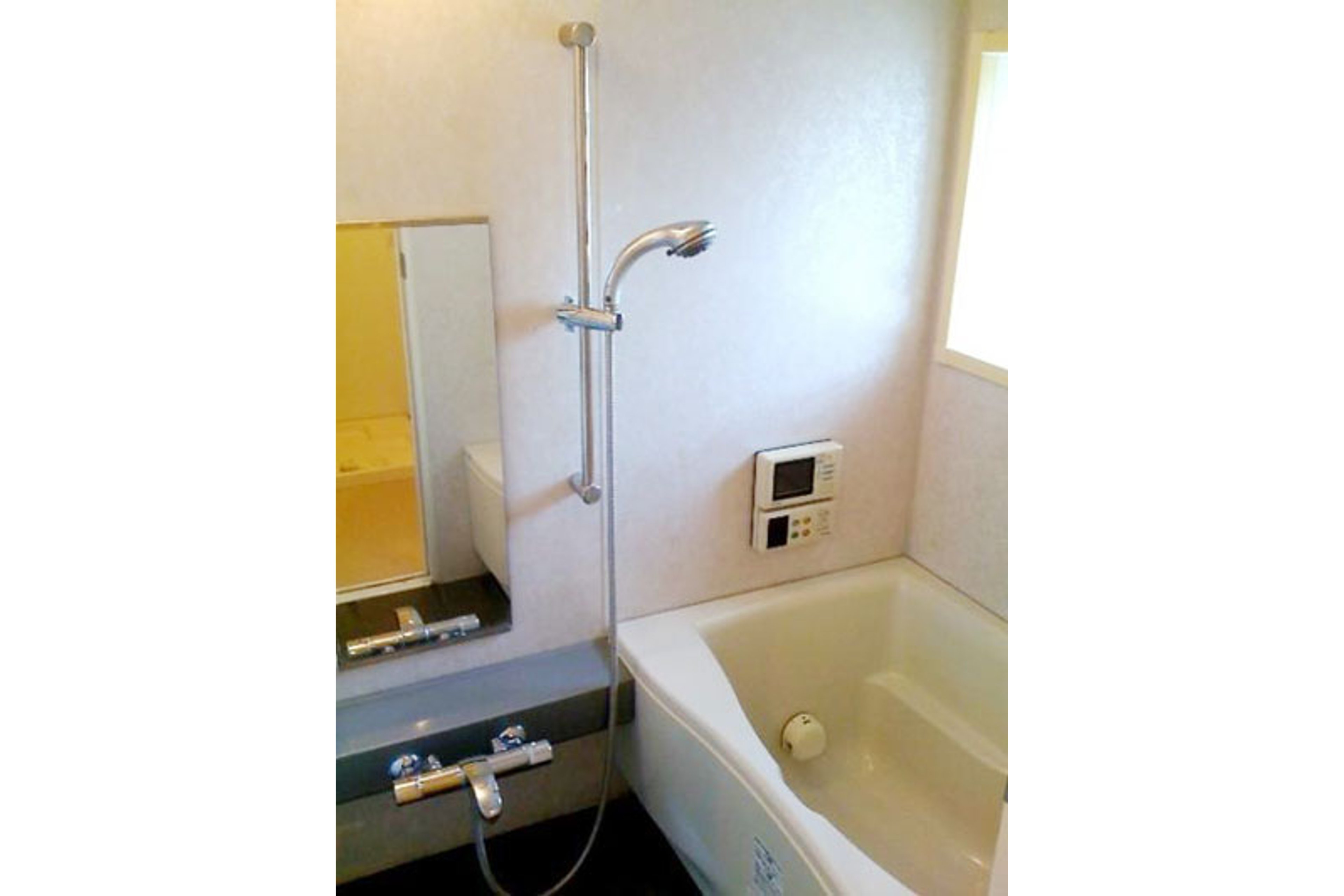 プラチナタイプのイメージ